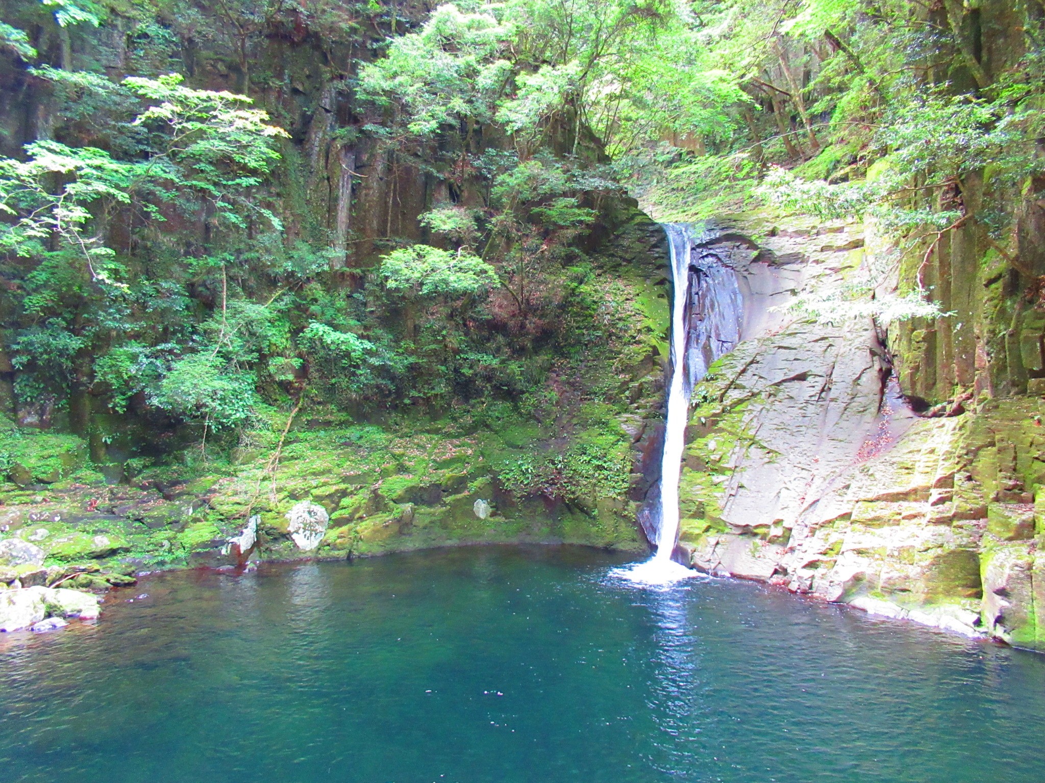f:id:ichi-hama:20240727193937j:image f:id:ichi-hama:20240727193937j:image