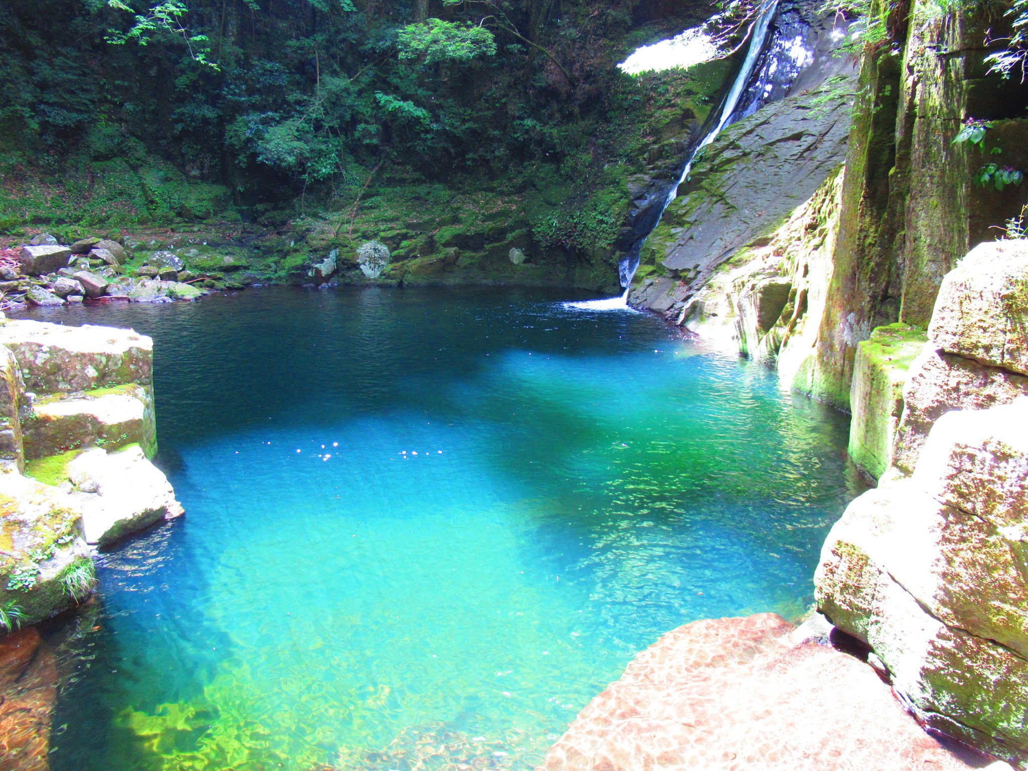 f:id:ichi-hama:20240727194050j:image f:id:ichi-hama:20240727194050j:image
