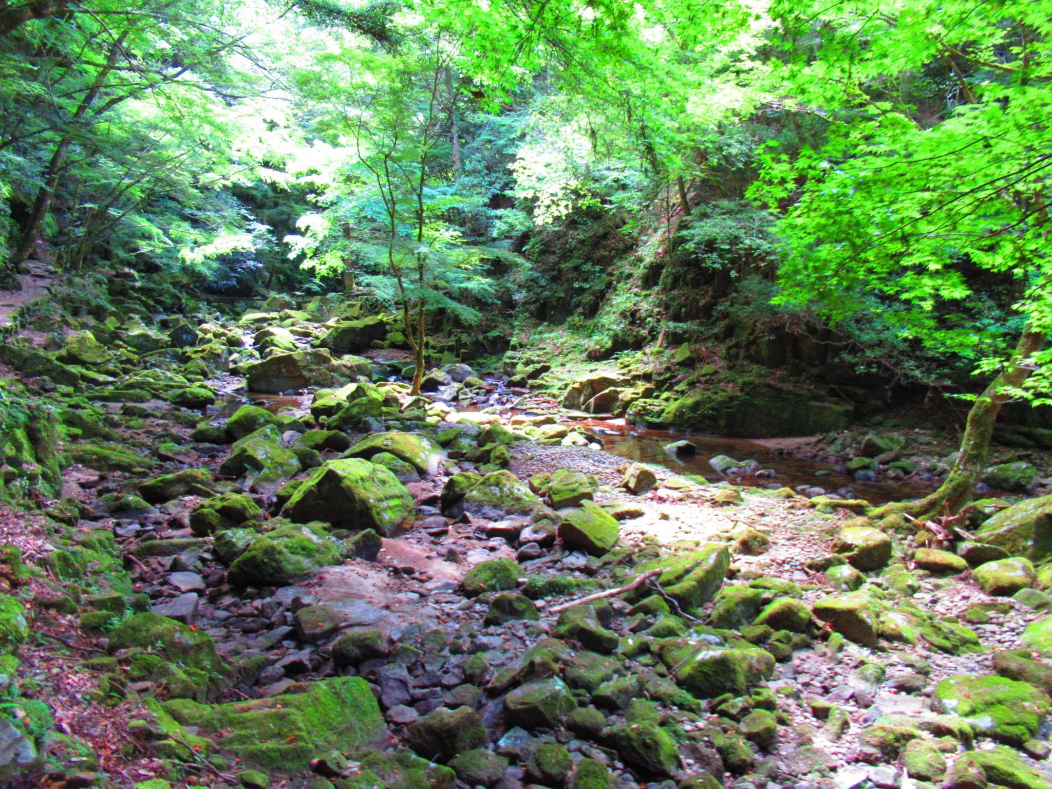 f:id:ichi-hama:20240727194346j:image f:id:ichi-hama:20240727194346j:image