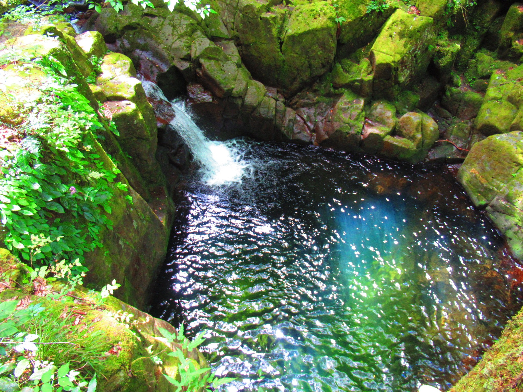 f:id:ichi-hama:20240727194546j:image f:id:ichi-hama:20240727194546j:image