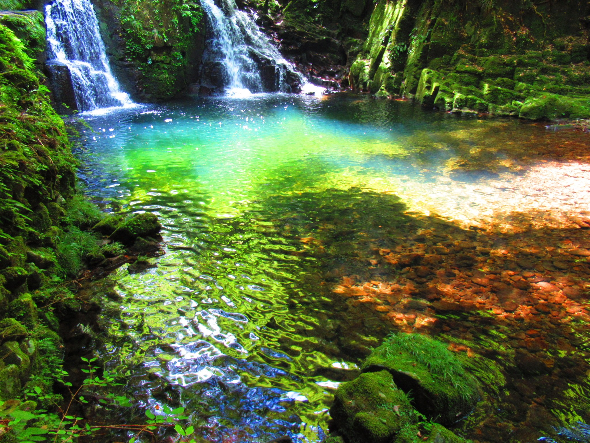 f:id:ichi-hama:20240727195145j:image f:id:ichi-hama:20240727195145j:image