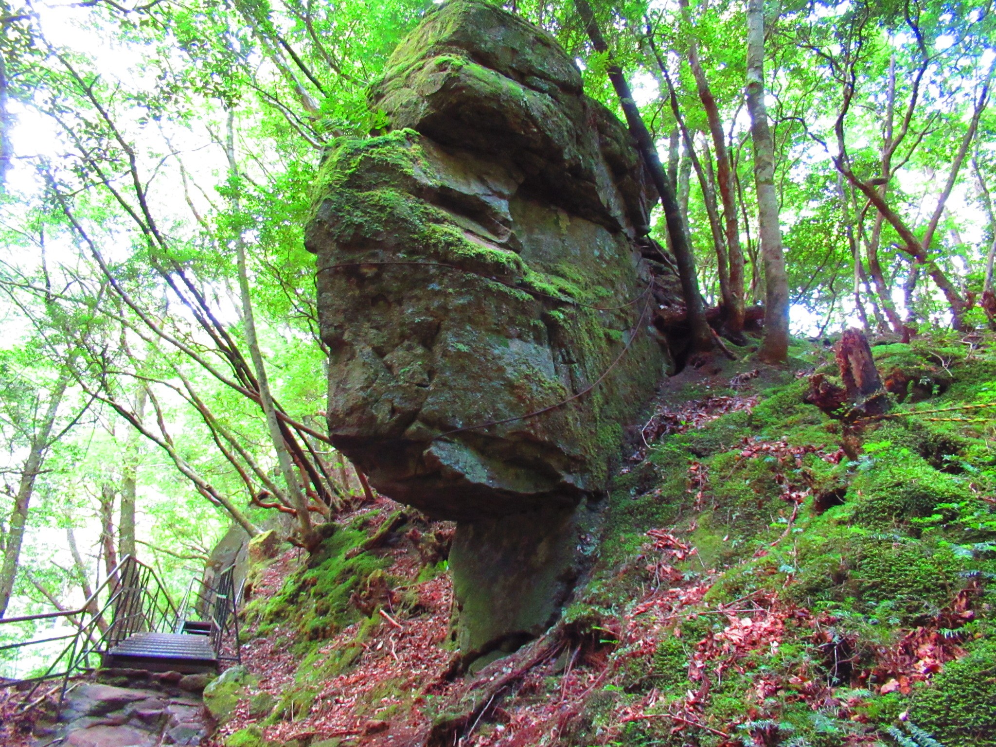 f:id:ichi-hama:20240727200427j:image f:id:ichi-hama:20240727200427j:image