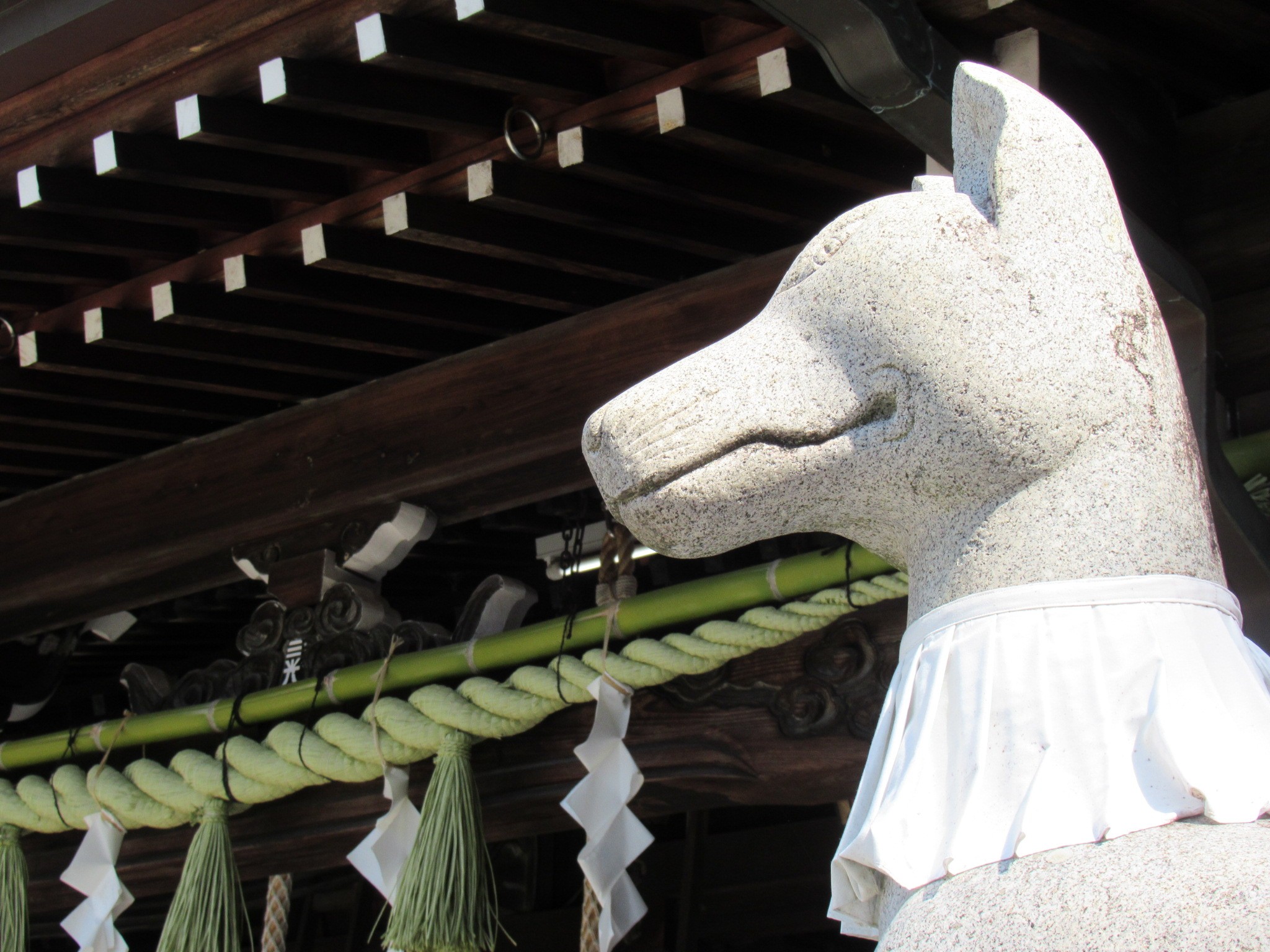 f:id:ichi-hama:20240920232954j:image f:id:ichi-hama:20240920232954j:image