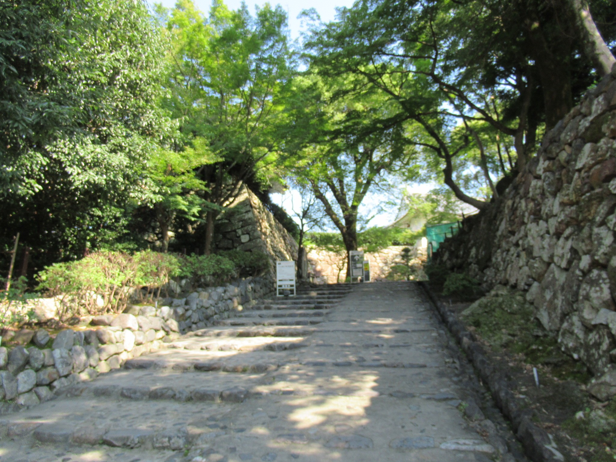 f:id:ichi-hama:20240920233039j:image f:id:ichi-hama:20240920233039j:image