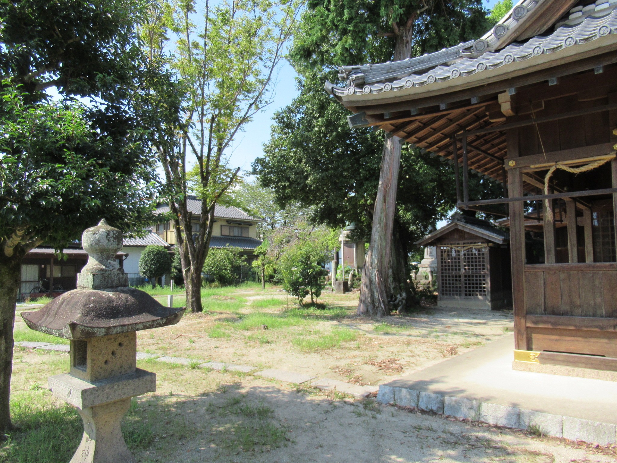 f:id:ichi-hama:20240920233857j:image f:id:ichi-hama:20240920233857j:image