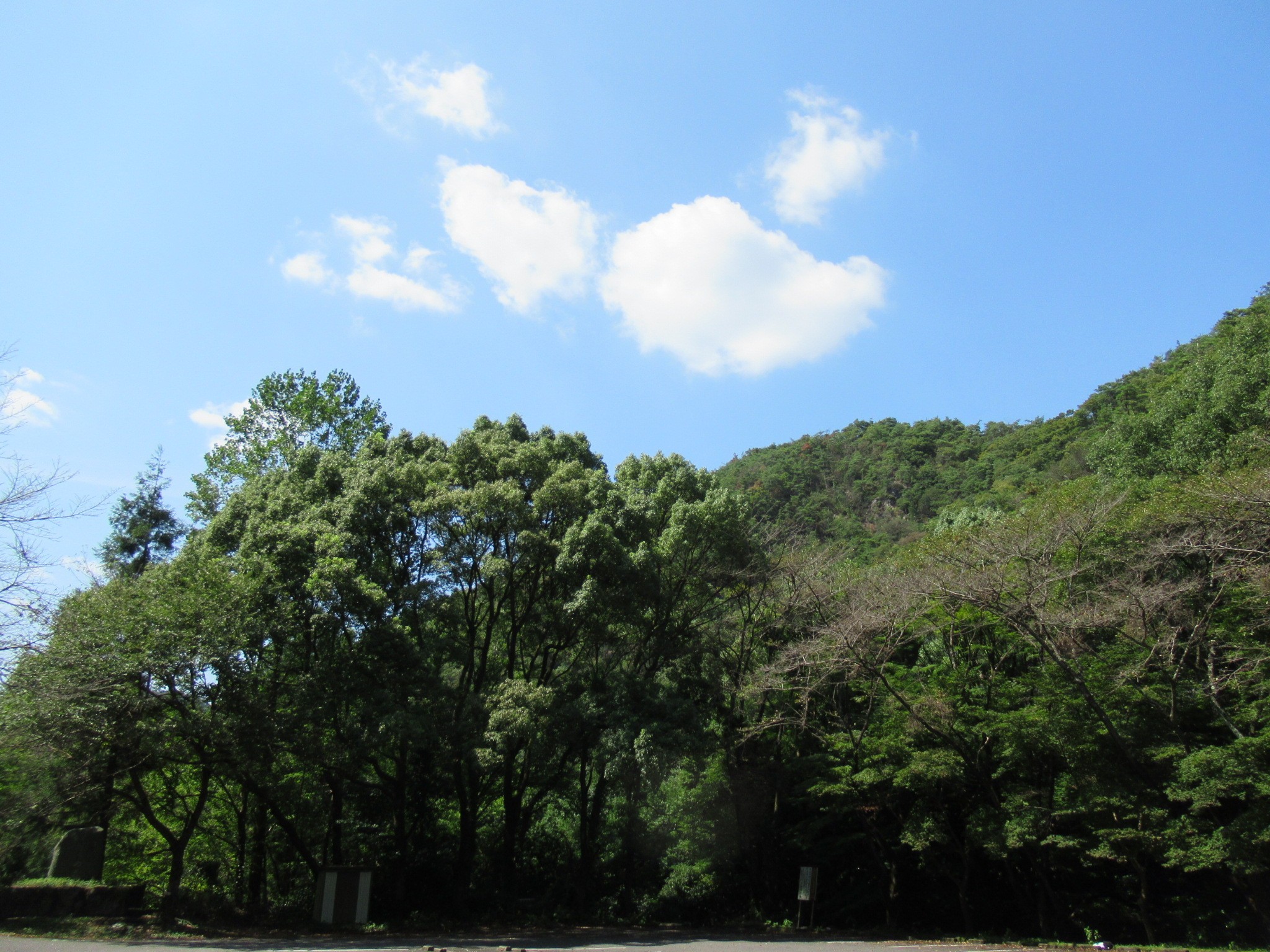 f:id:ichi-hama:20240920234754j:image f:id:ichi-hama:20240920234754j:image