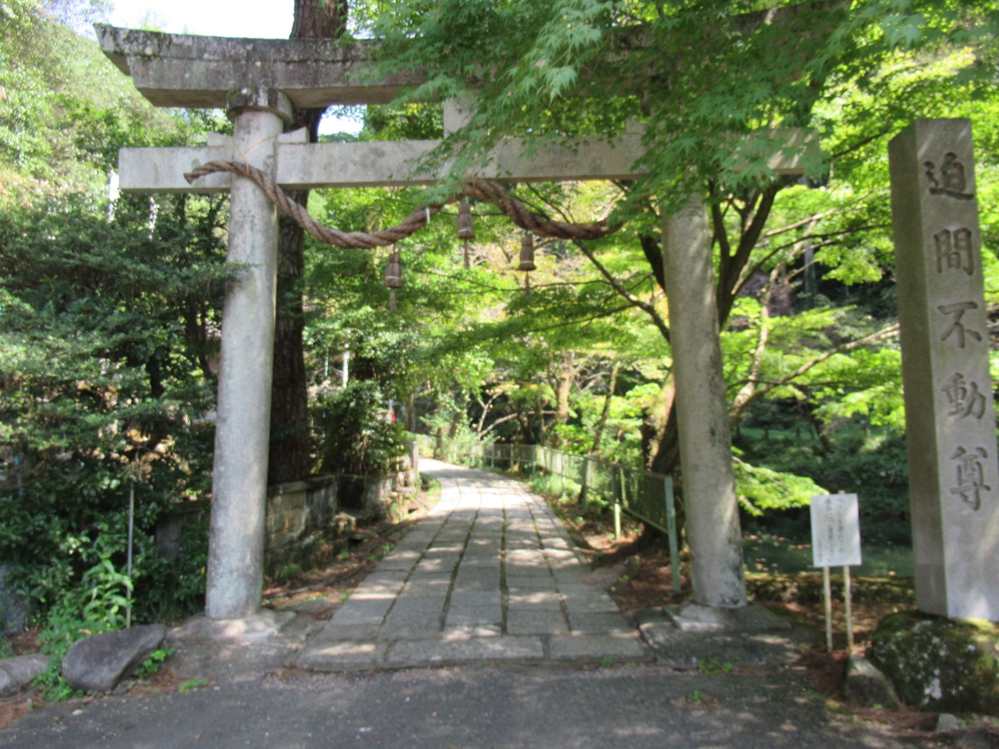 f:id:ichi-hama:20240920234810j:image f:id:ichi-hama:20240920234810j:image