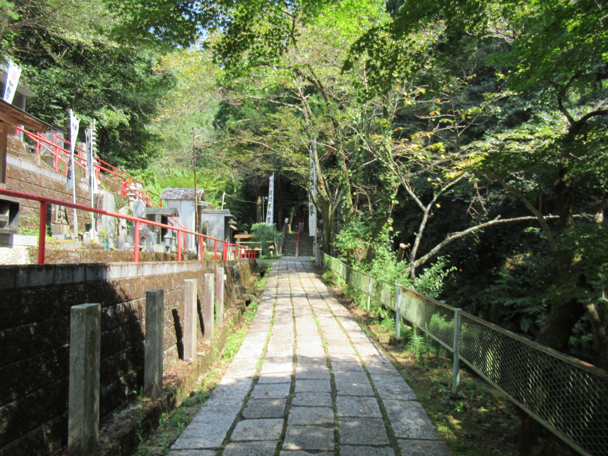 f:id:ichi-hama:20240920234914j:image f:id:ichi-hama:20240920234914j:image