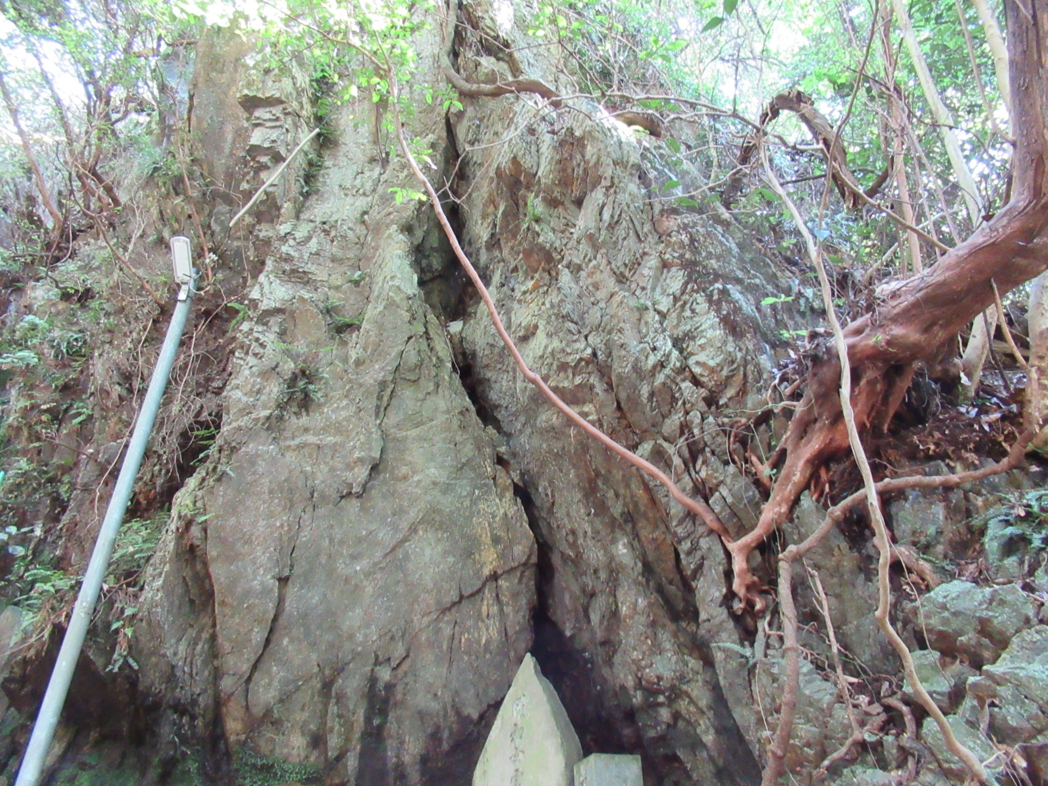 f:id:ichi-hama:20240920235034j:image f:id:ichi-hama:20240920235034j:image