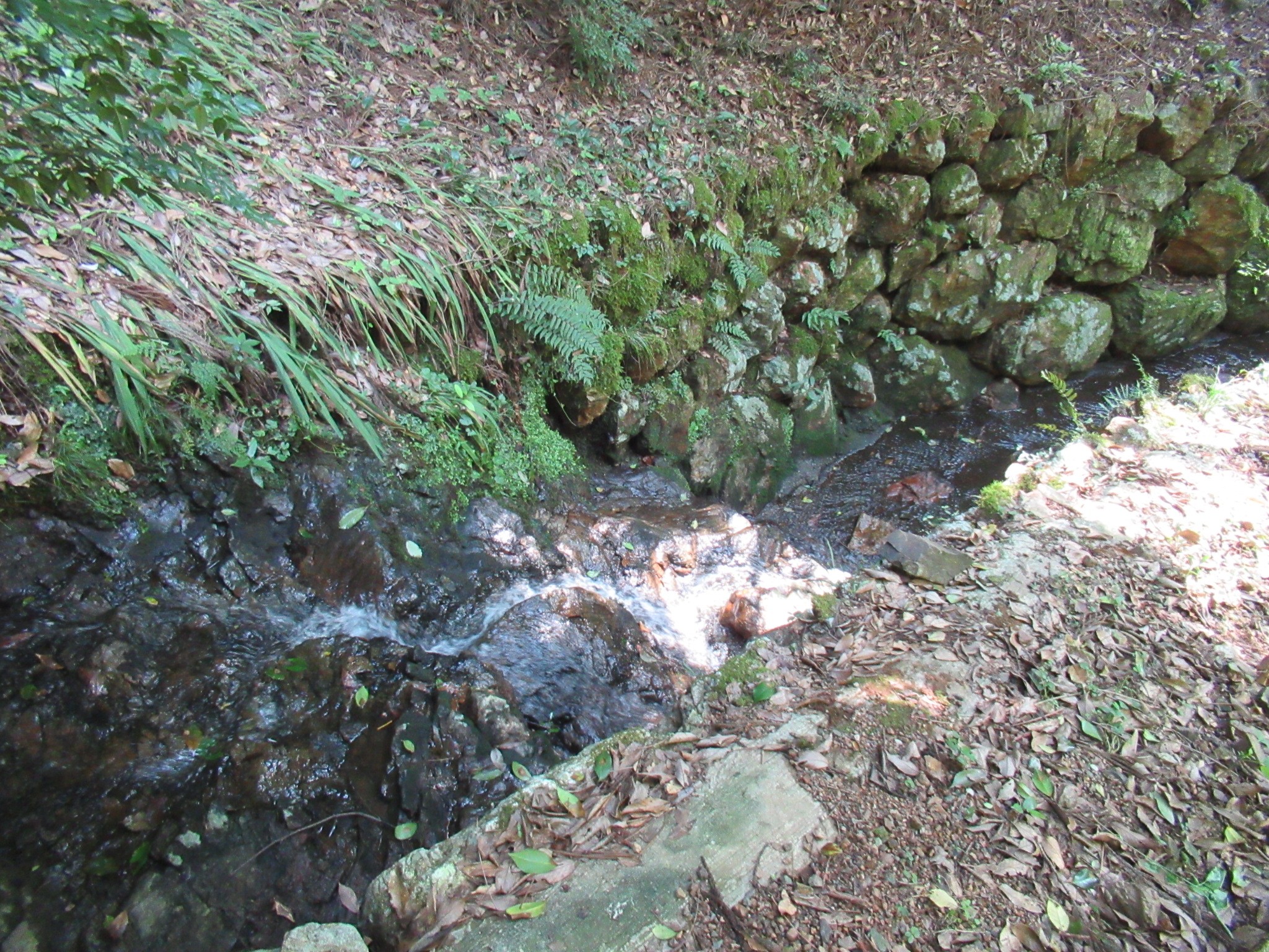 f:id:ichi-hama:20240920235109j:image f:id:ichi-hama:20240920235109j:image