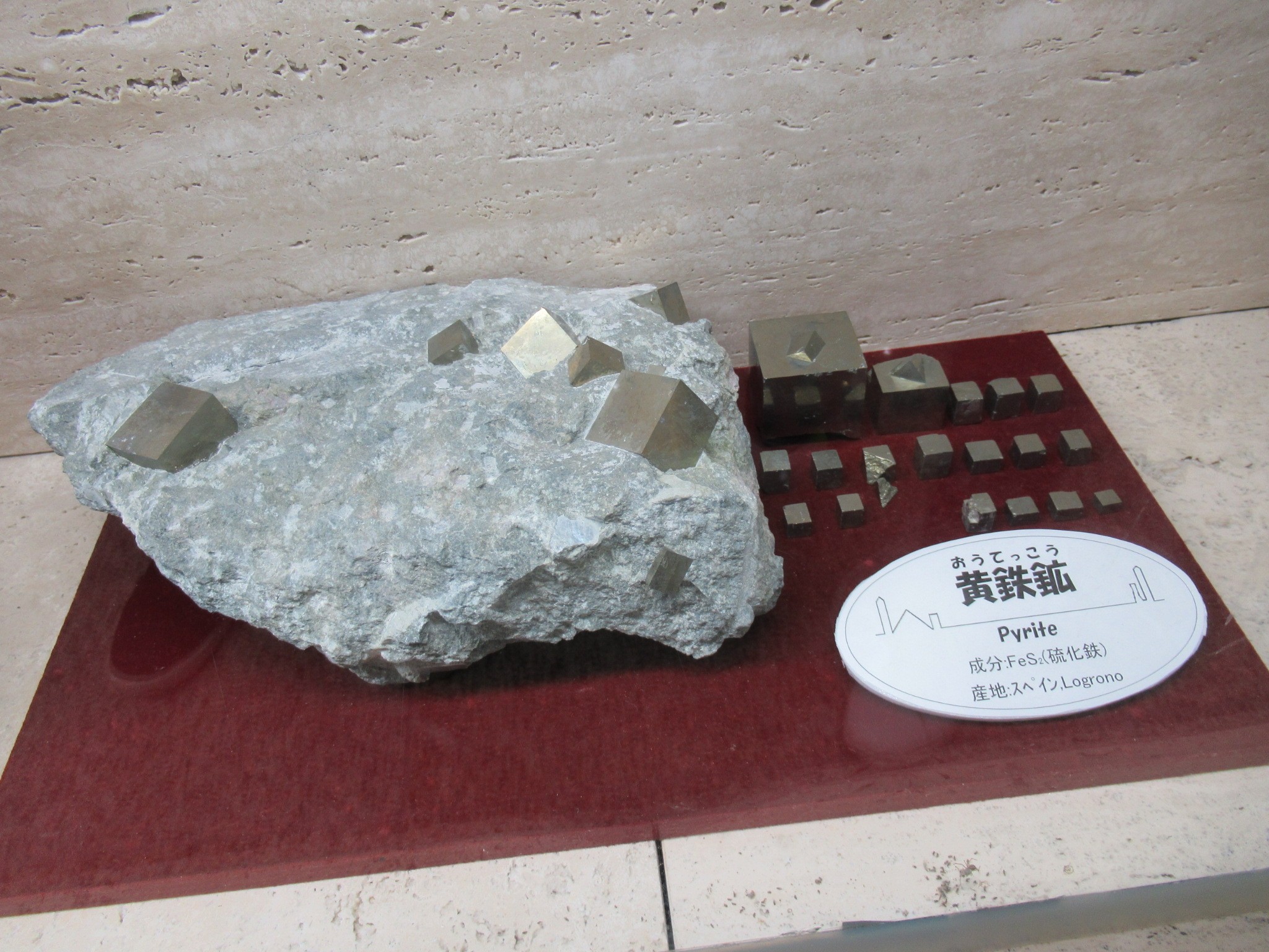 f:id:ichi-hama:20240921000450j:image f:id:ichi-hama:20240921000450j:image
