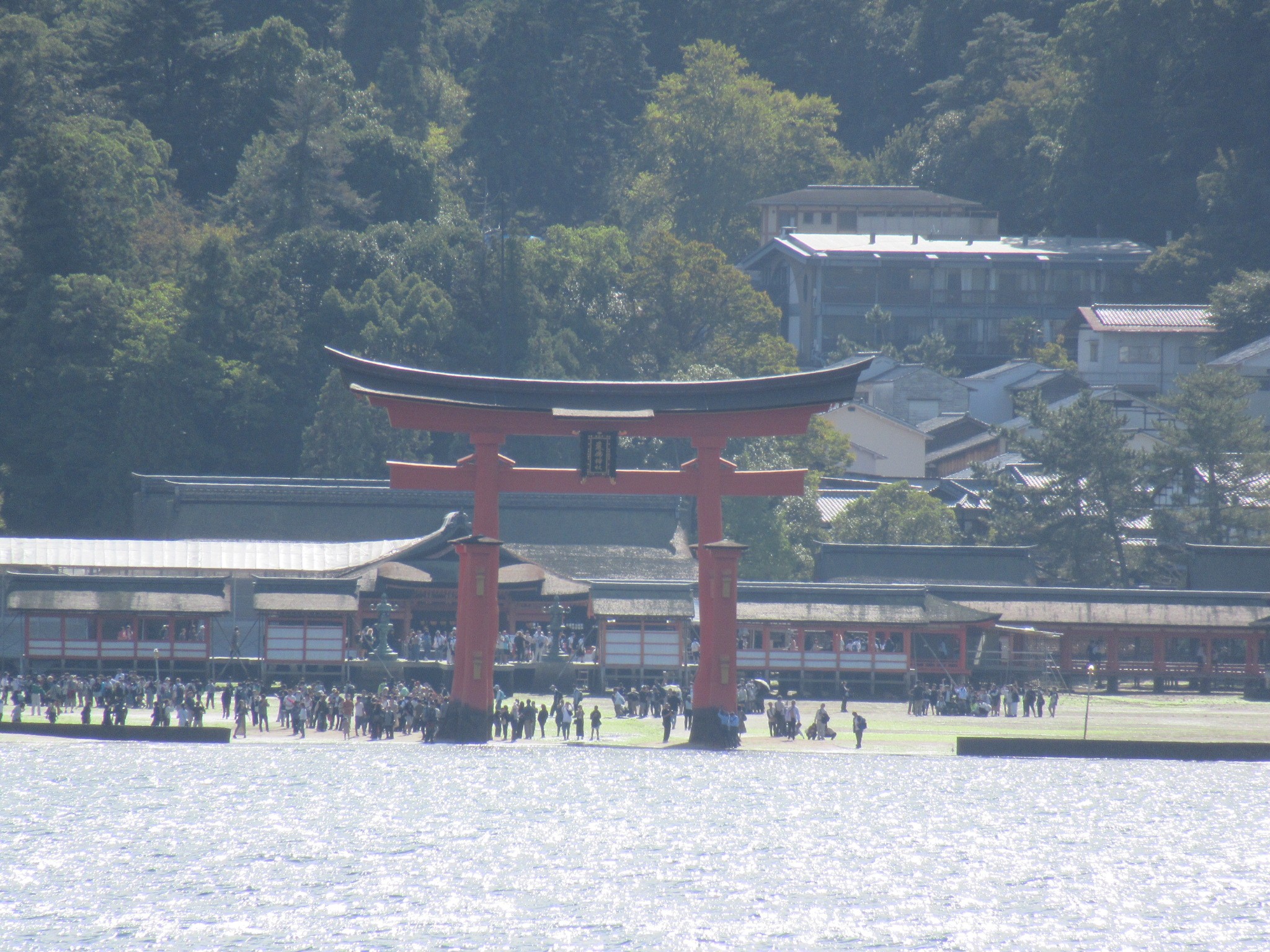 f:id:ichi-hama:20241113214230j:image f:id:ichi-hama:20241113214230j:image