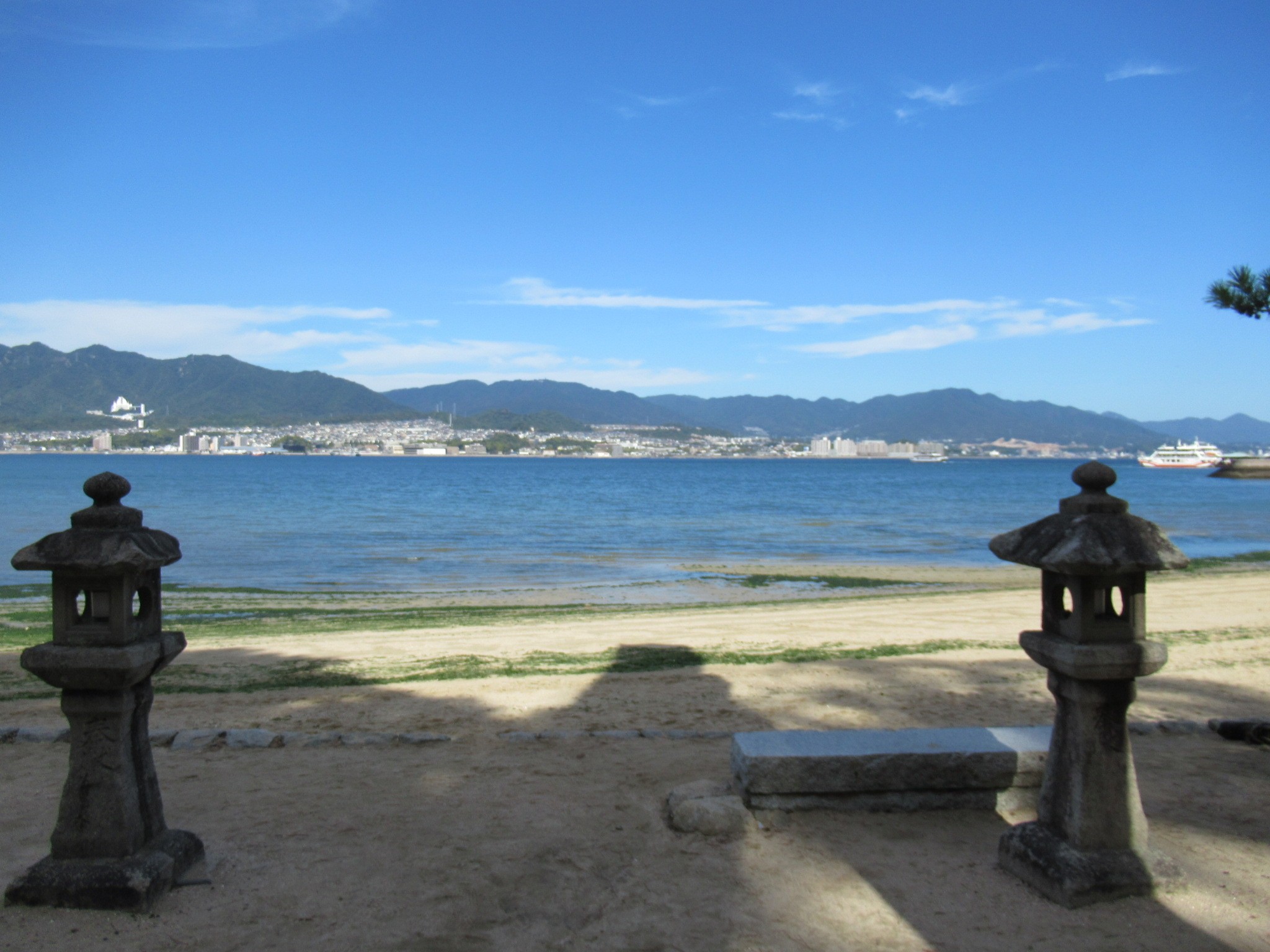 f:id:ichi-hama:20241113214338j:image f:id:ichi-hama:20241113214338j:image