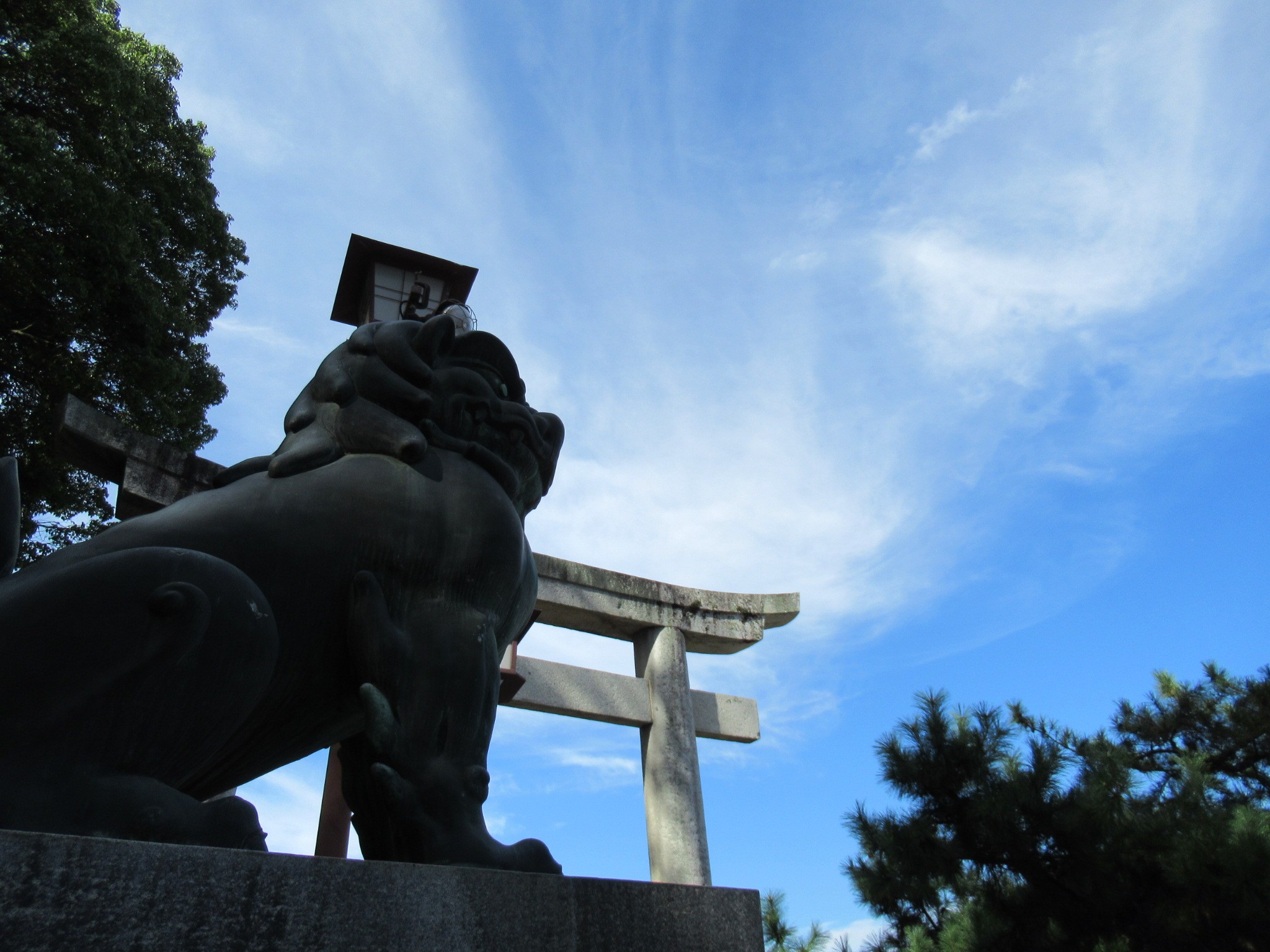 f:id:ichi-hama:20241113214431j:image f:id:ichi-hama:20241113214431j:image