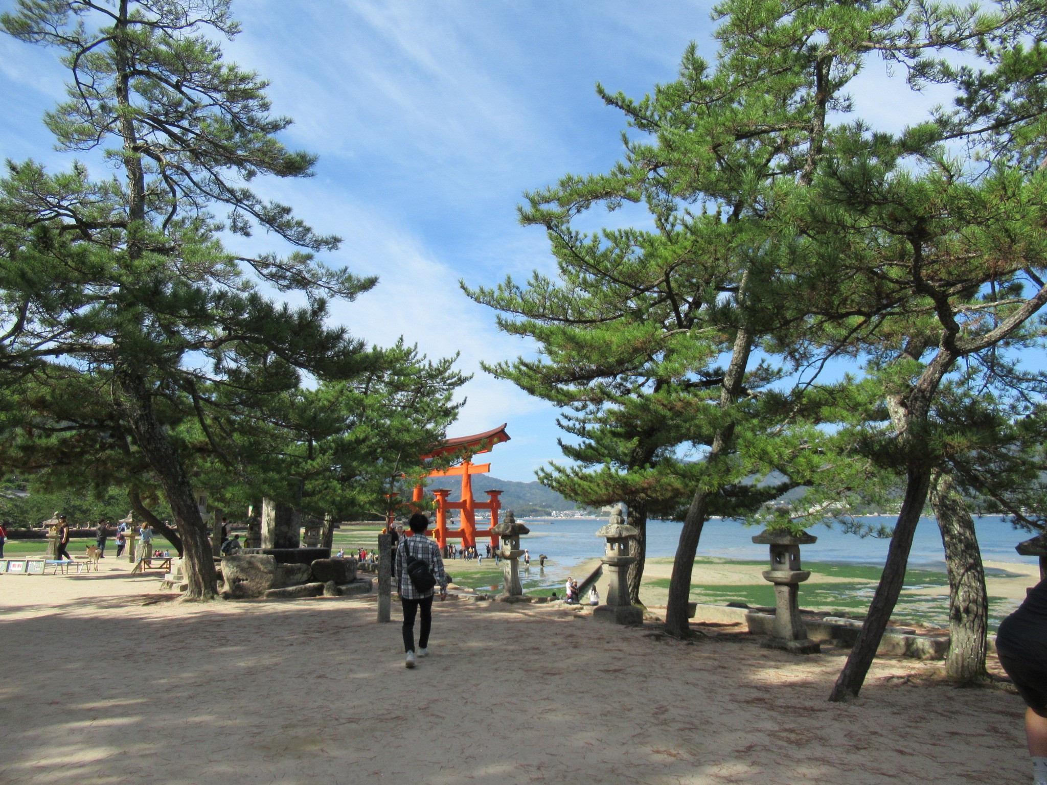 f:id:ichi-hama:20241113214452j:image f:id:ichi-hama:20241113214452j:image