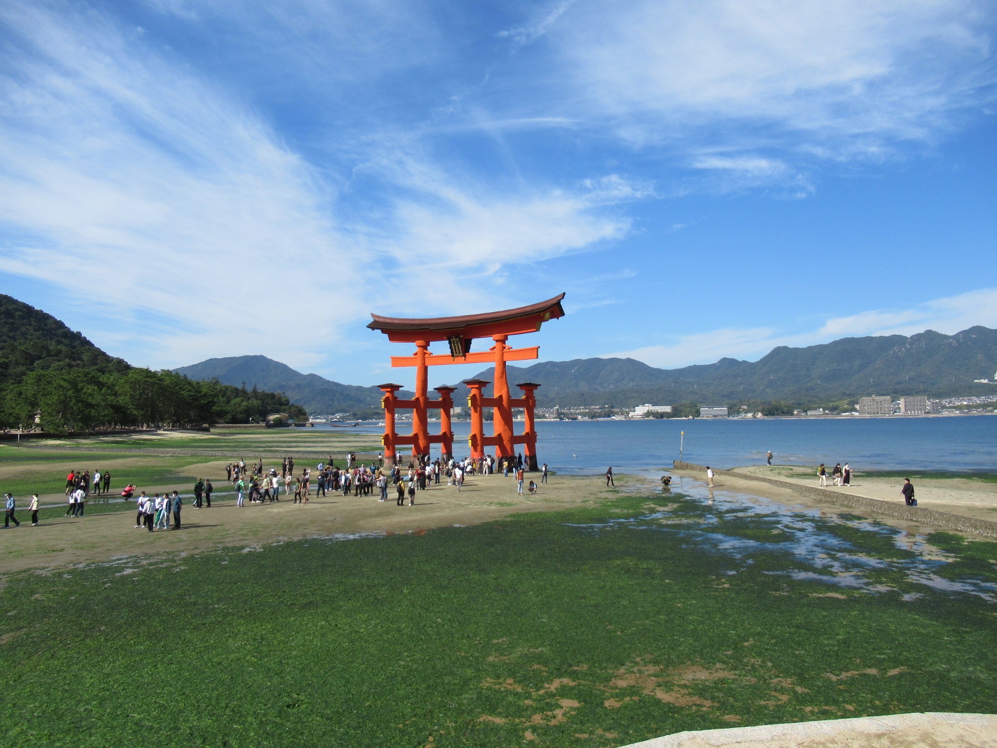 f:id:ichi-hama:20241113214531j:image f:id:ichi-hama:20241113214531j:image