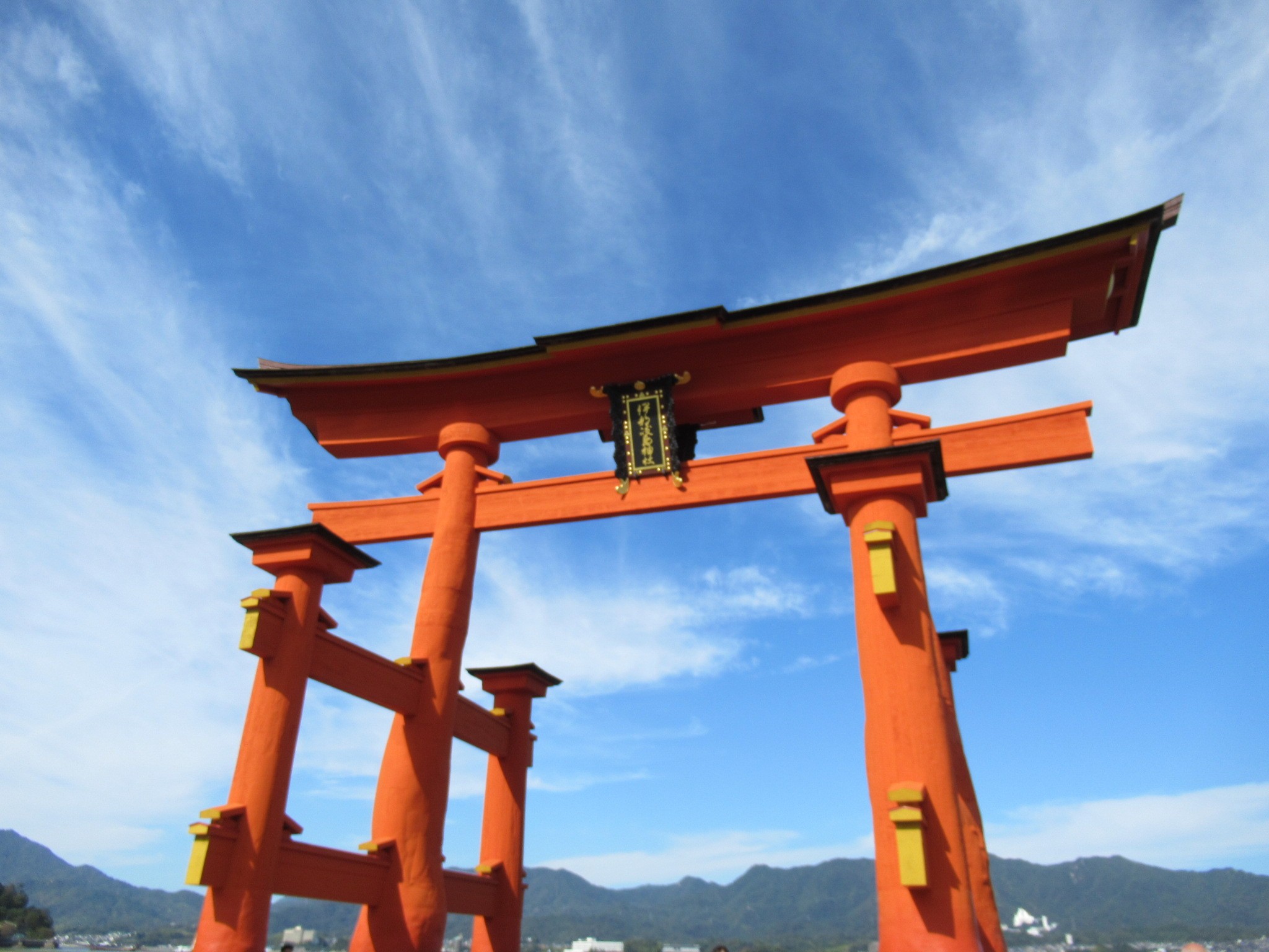 f:id:ichi-hama:20241113214627j:image f:id:ichi-hama:20241113214627j:image