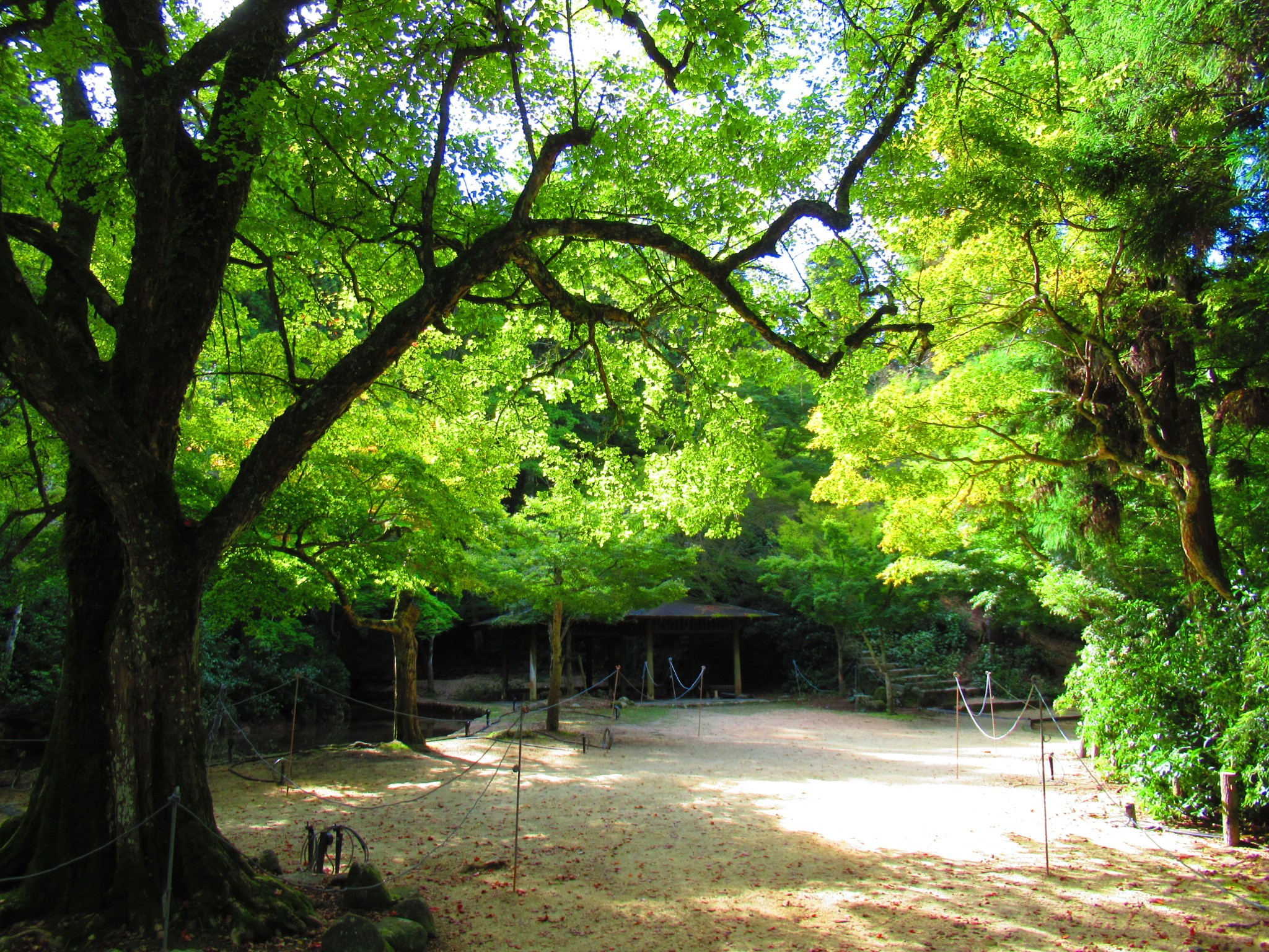 f:id:ichi-hama:20241113215005j:image f:id:ichi-hama:20241113215005j:image