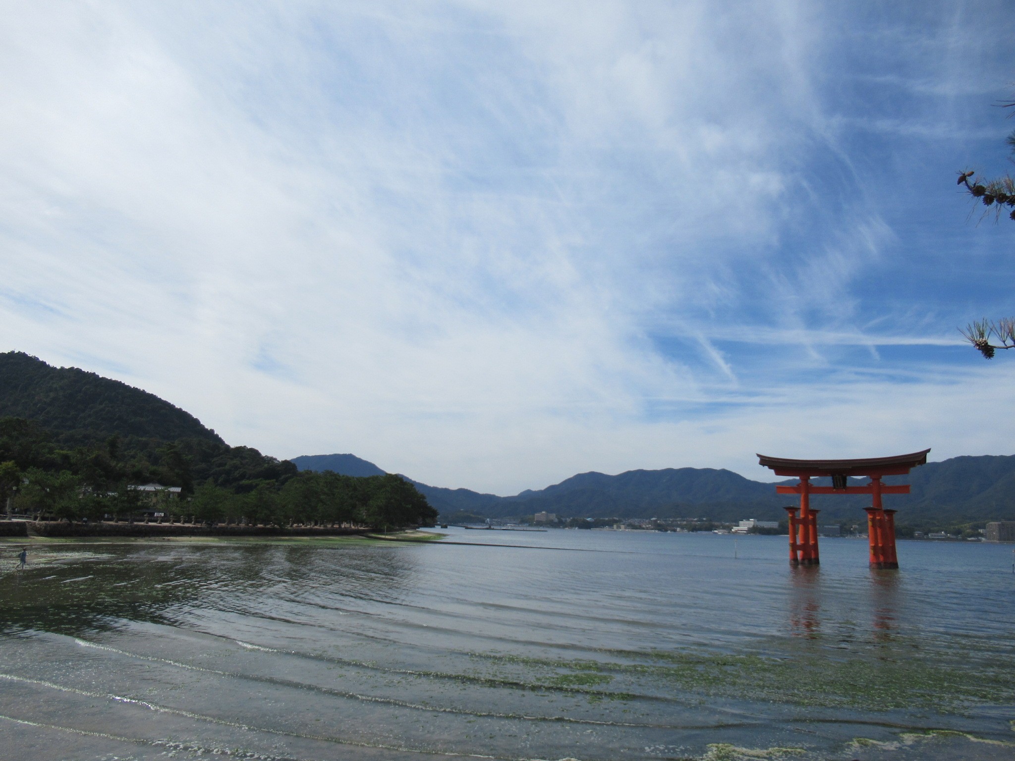 f:id:ichi-hama:20241113215655j:image f:id:ichi-hama:20241113215655j:image