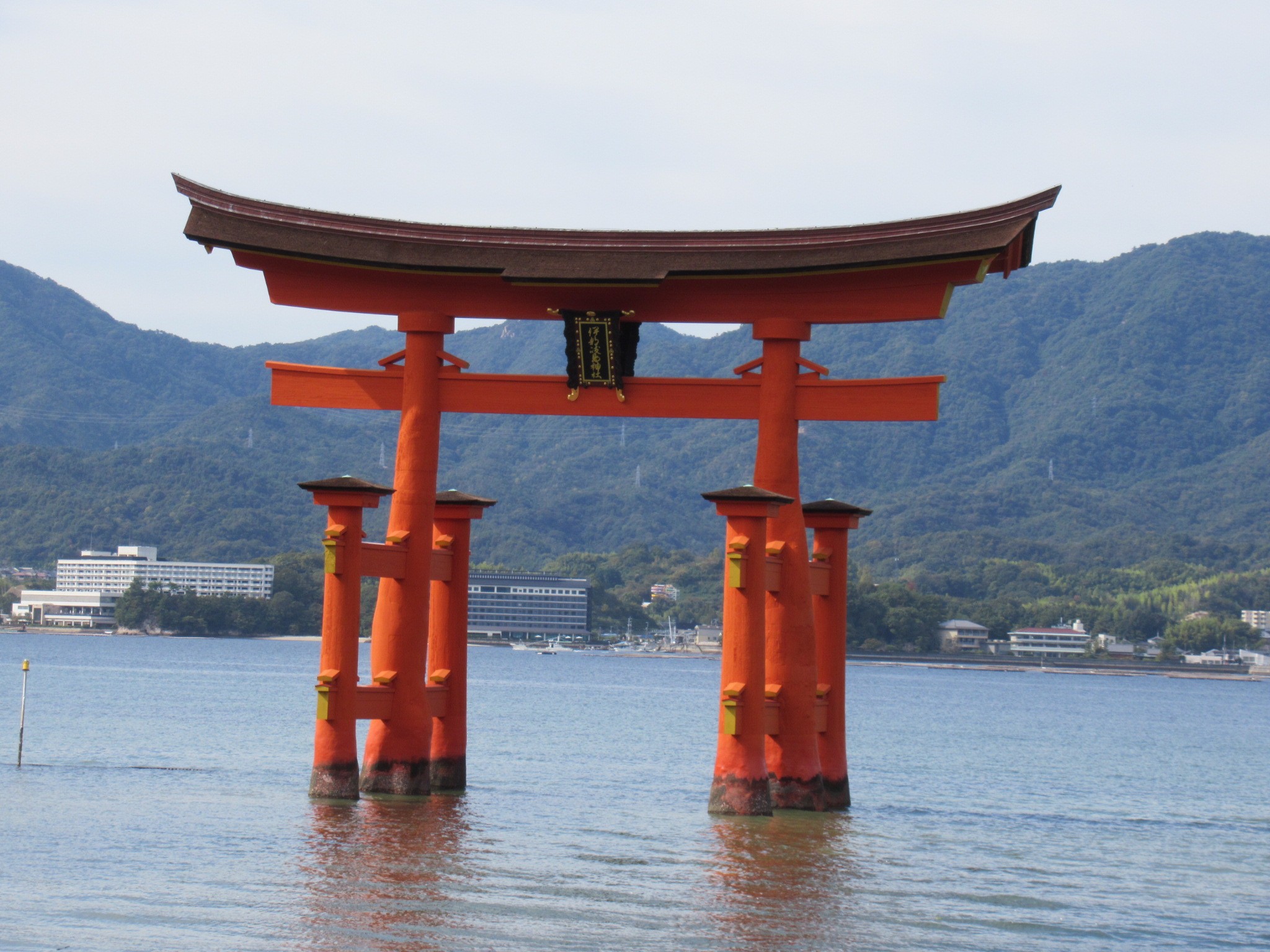 f:id:ichi-hama:20241113215831j:image f:id:ichi-hama:20241113215831j:image
