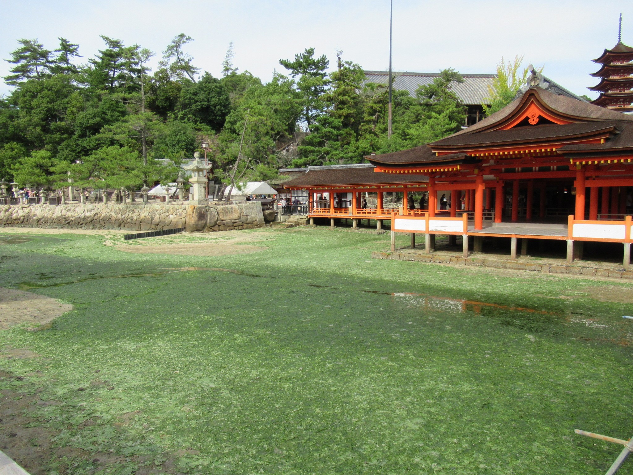 f:id:ichi-hama:20241113220022j:image f:id:ichi-hama:20241113220022j:image
