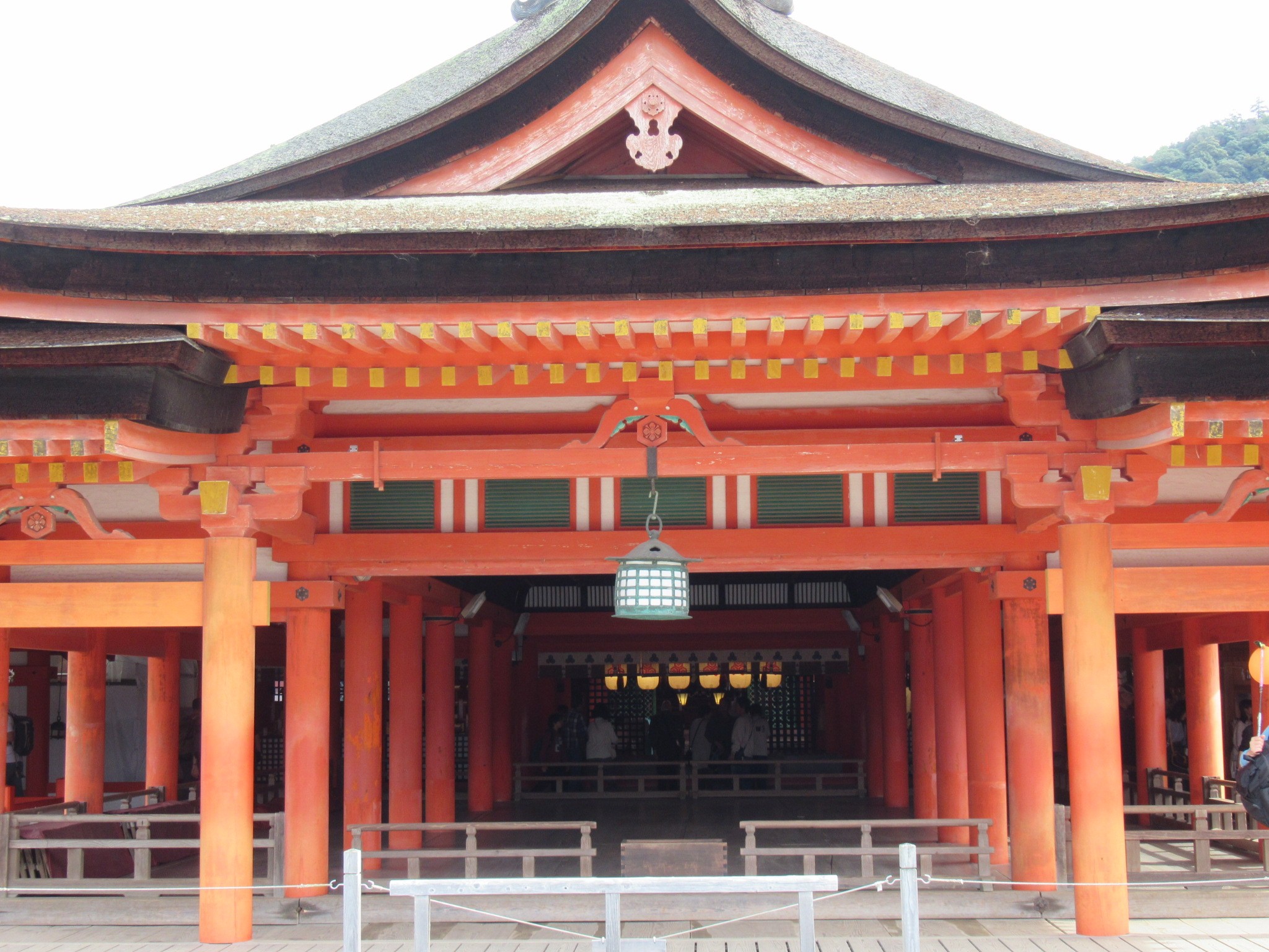 f:id:ichi-hama:20241113220107j:image f:id:ichi-hama:20241113220107j:image