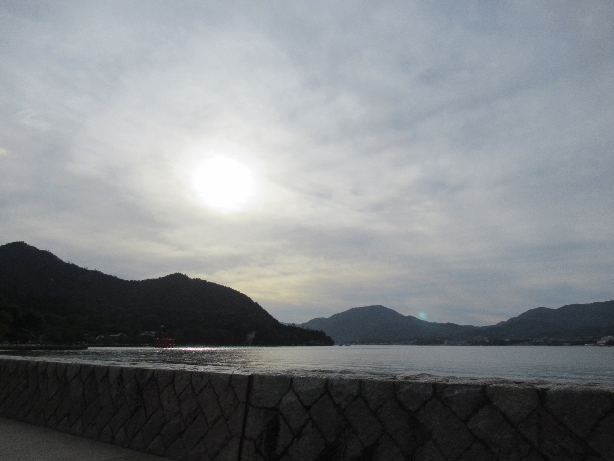 f:id:ichi-hama:20241113220436j:image f:id:ichi-hama:20241113220436j:image