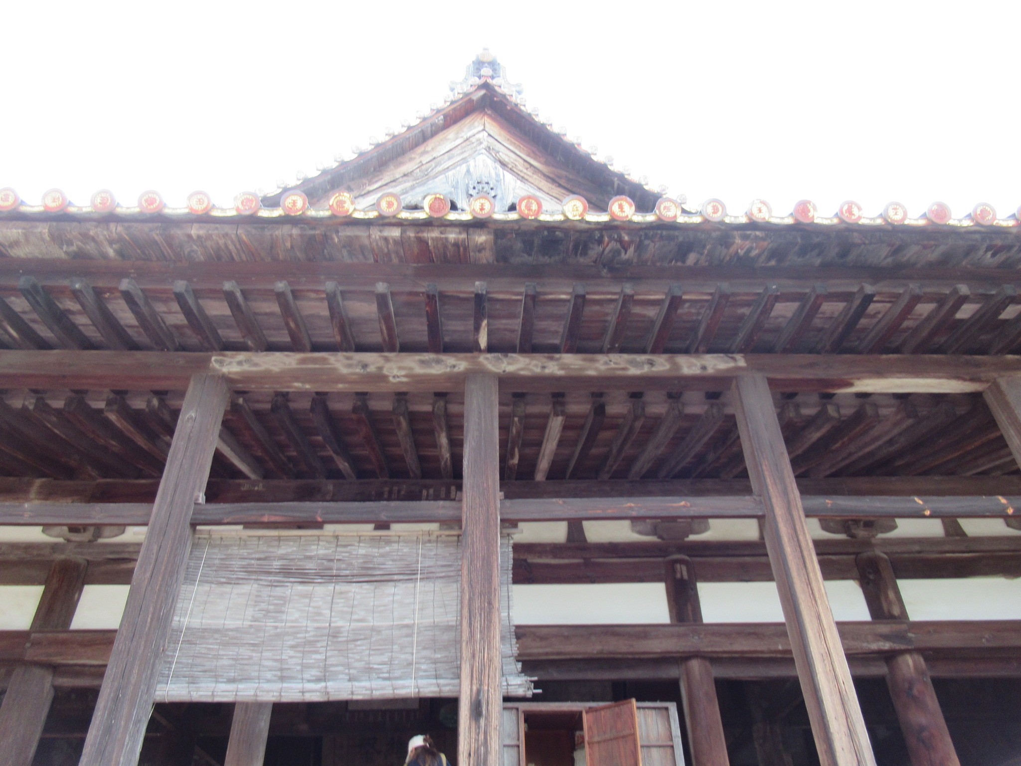 f:id:ichi-hama:20241113220452j:image f:id:ichi-hama:20241113220452j:image