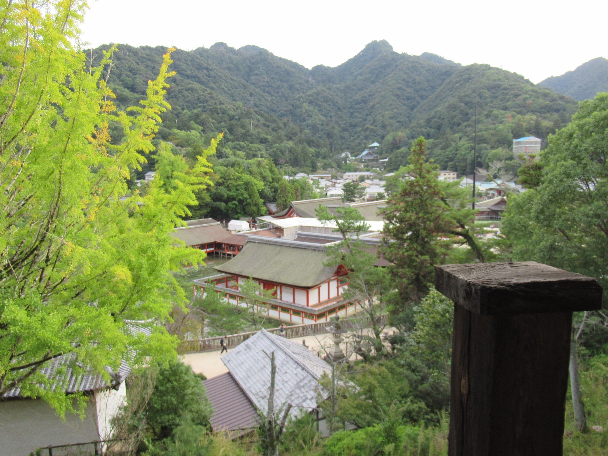 f:id:ichi-hama:20241113220538j:image f:id:ichi-hama:20241113220538j:image