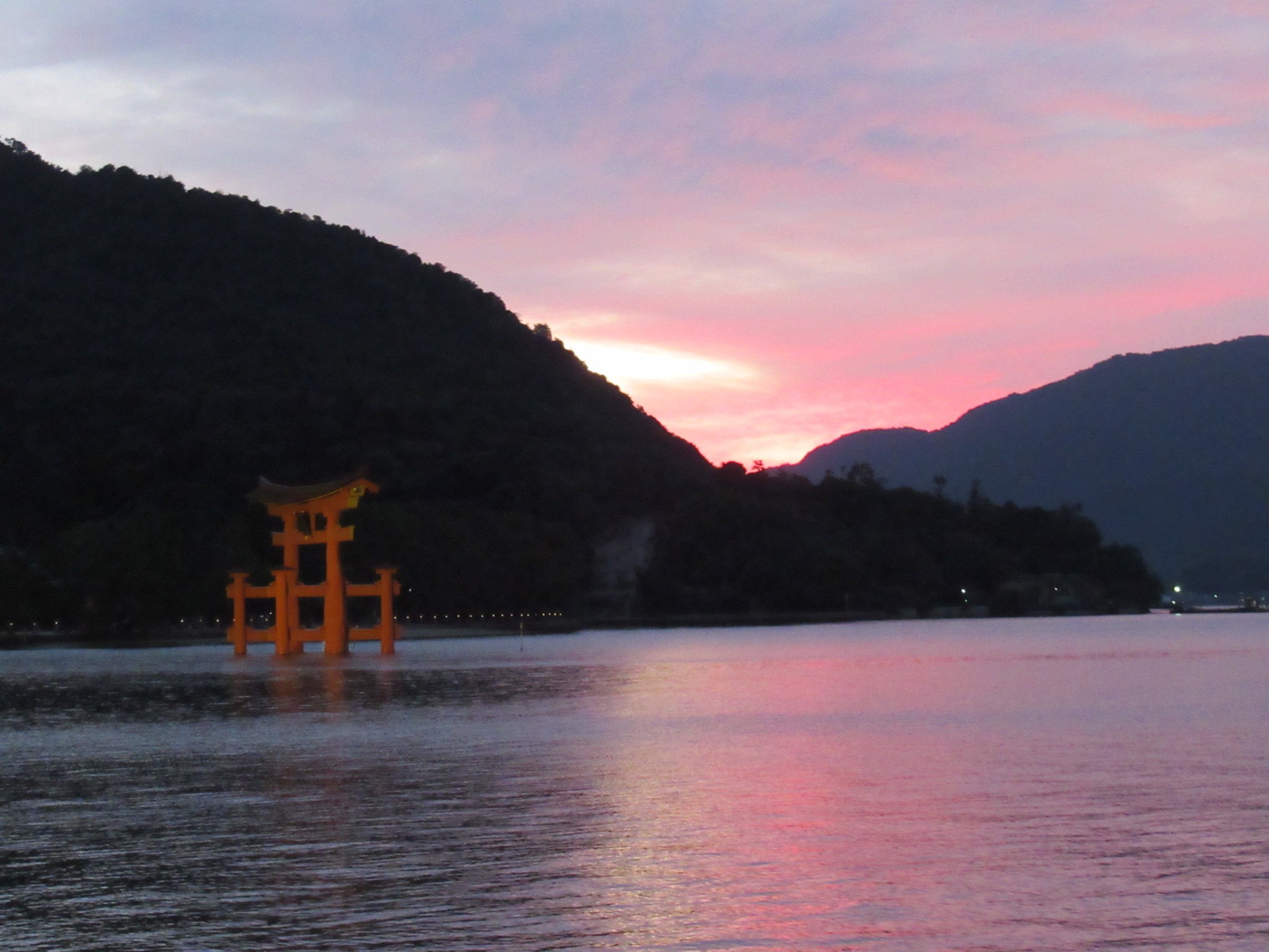 f:id:ichi-hama:20241113220811j:image f:id:ichi-hama:20241113220811j:image