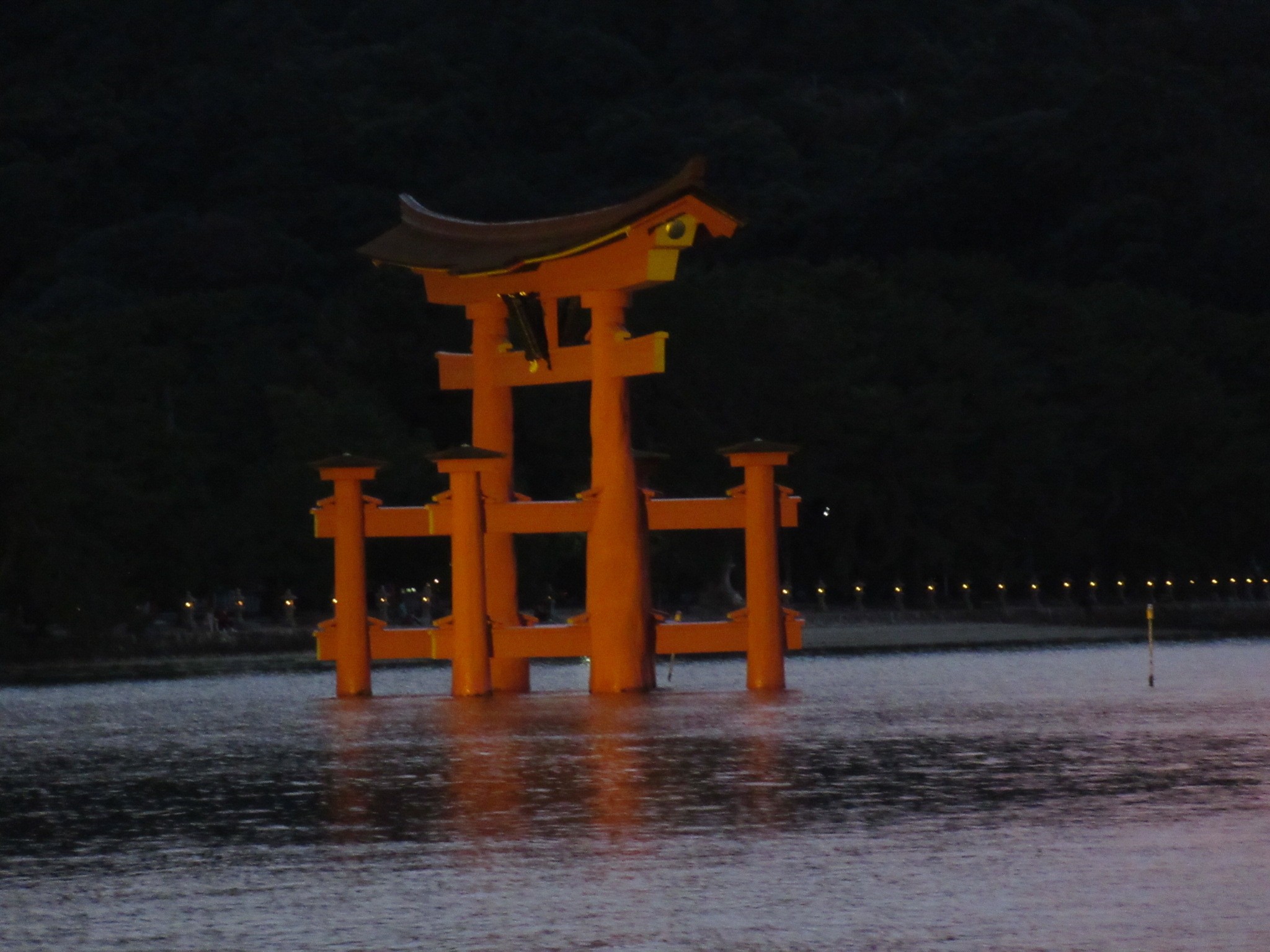 f:id:ichi-hama:20241113220901j:image f:id:ichi-hama:20241113220901j:image