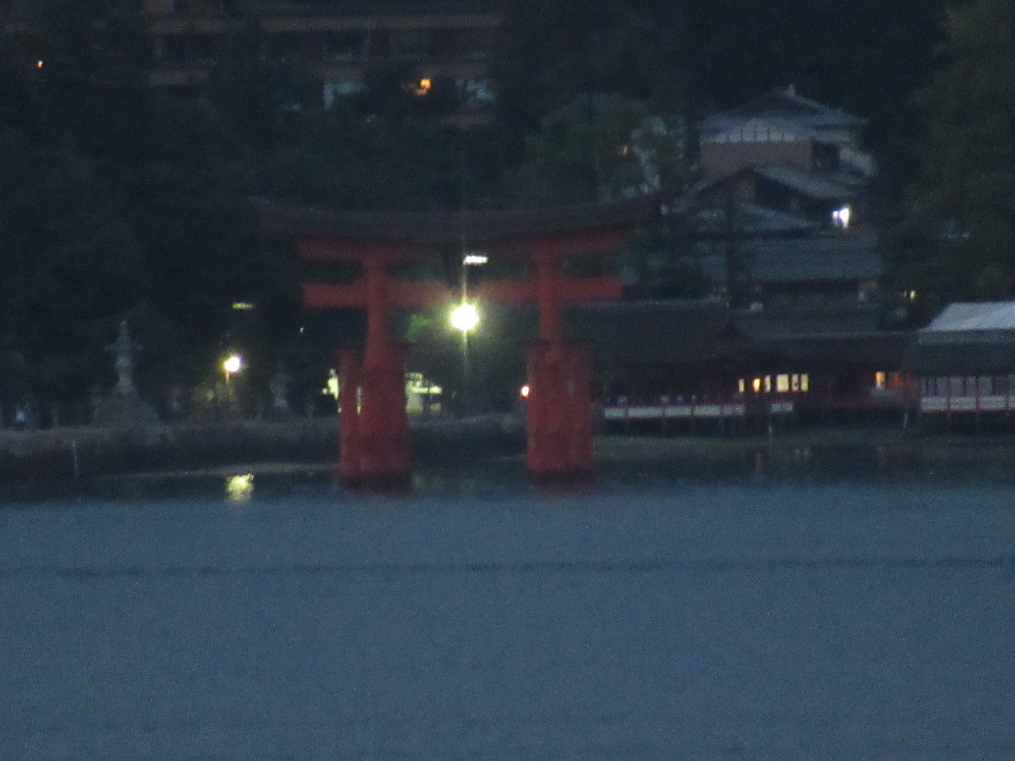 f:id:ichi-hama:20241113221025j:image f:id:ichi-hama:20241113221025j:image