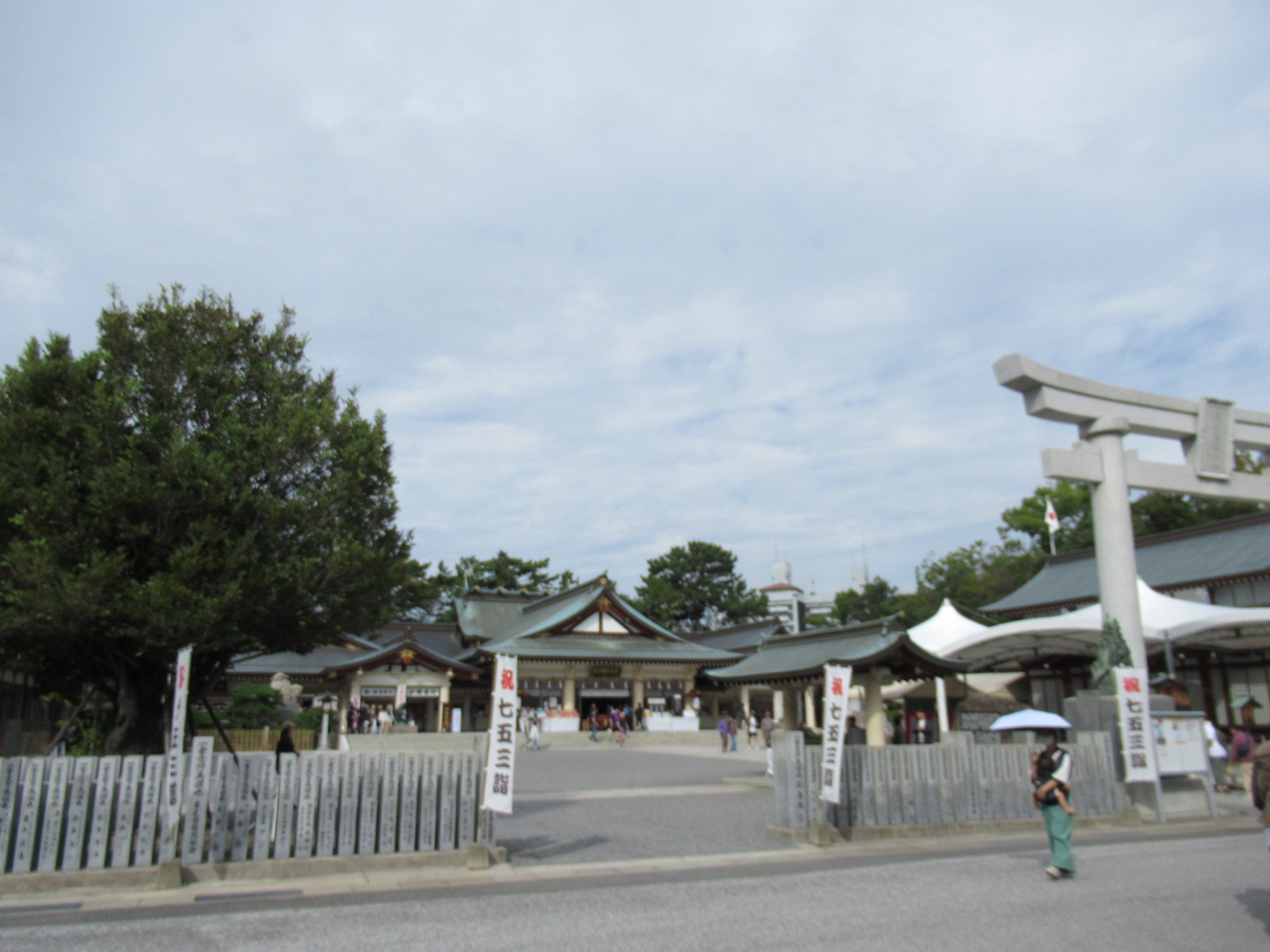 f:id:ichi-hama:20241113224019j:image f:id:ichi-hama:20241113224019j:image