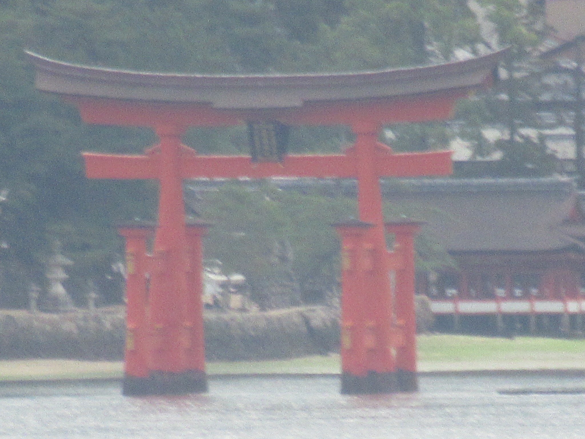 f:id:ichi-hama:20241113224815j:image f:id:ichi-hama:20241113224815j:image