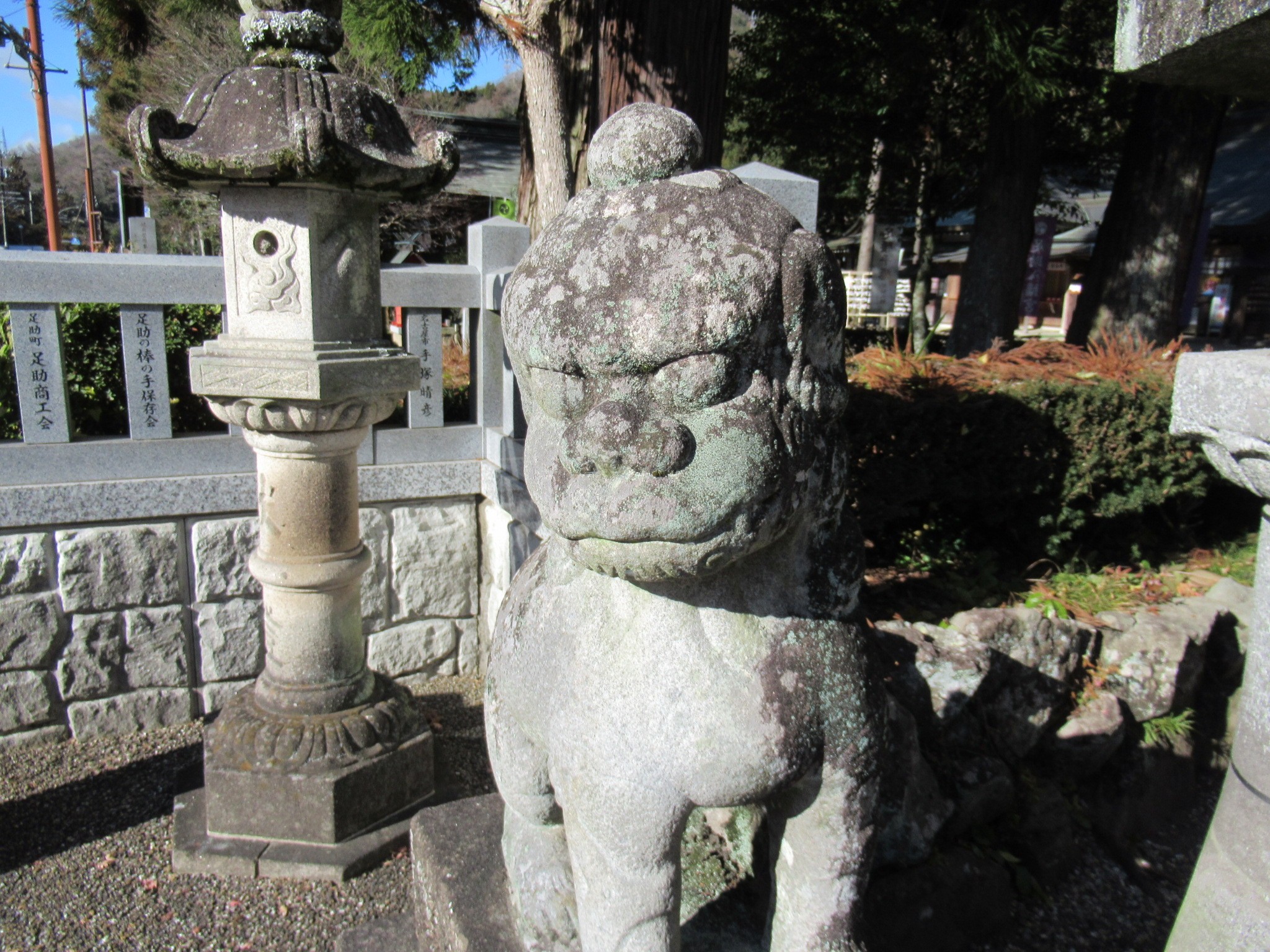 f:id:ichi-hama:20250118083242j:image f:id:ichi-hama:20250118083242j:image
