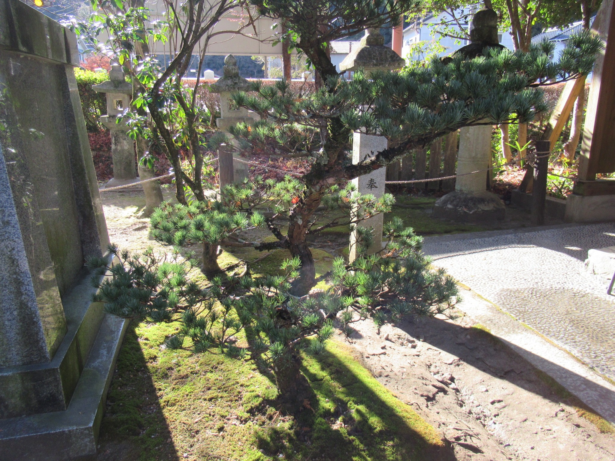 f:id:ichi-hama:20250118083520j:image f:id:ichi-hama:20250118083520j:image