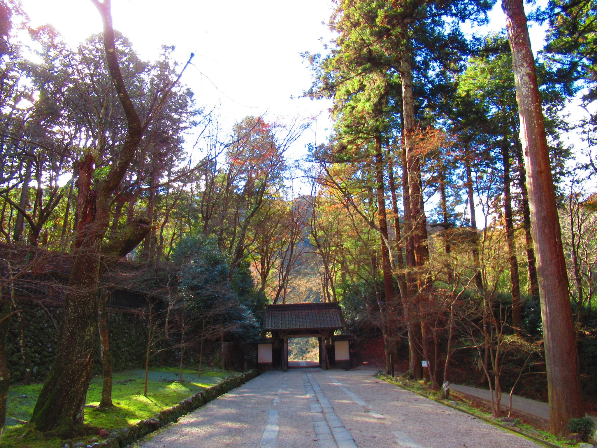 f:id:ichi-hama:20250118083829j:image f:id:ichi-hama:20250118083829j:image