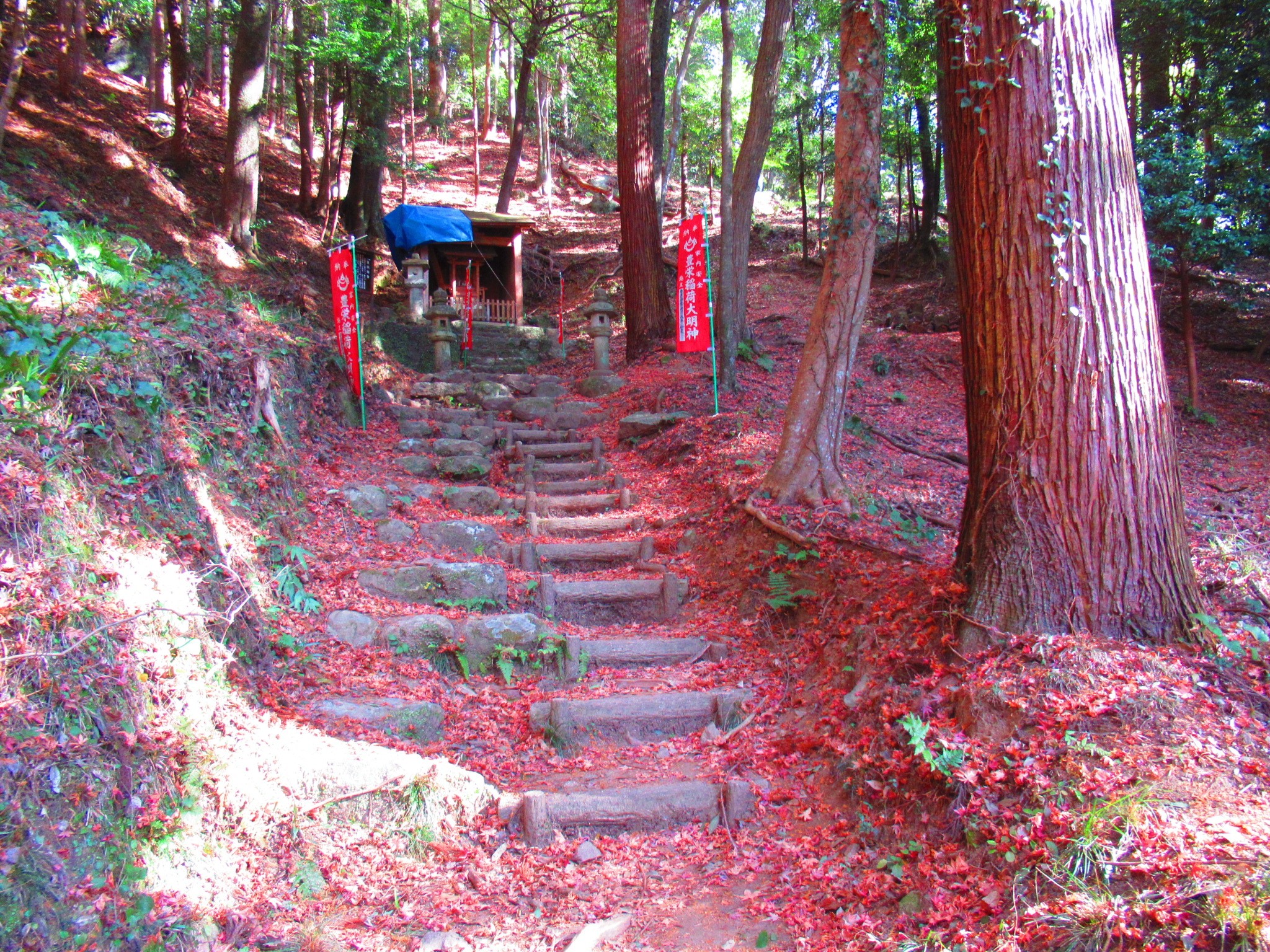 f:id:ichi-hama:20250118083907j:image f:id:ichi-hama:20250118083907j:image