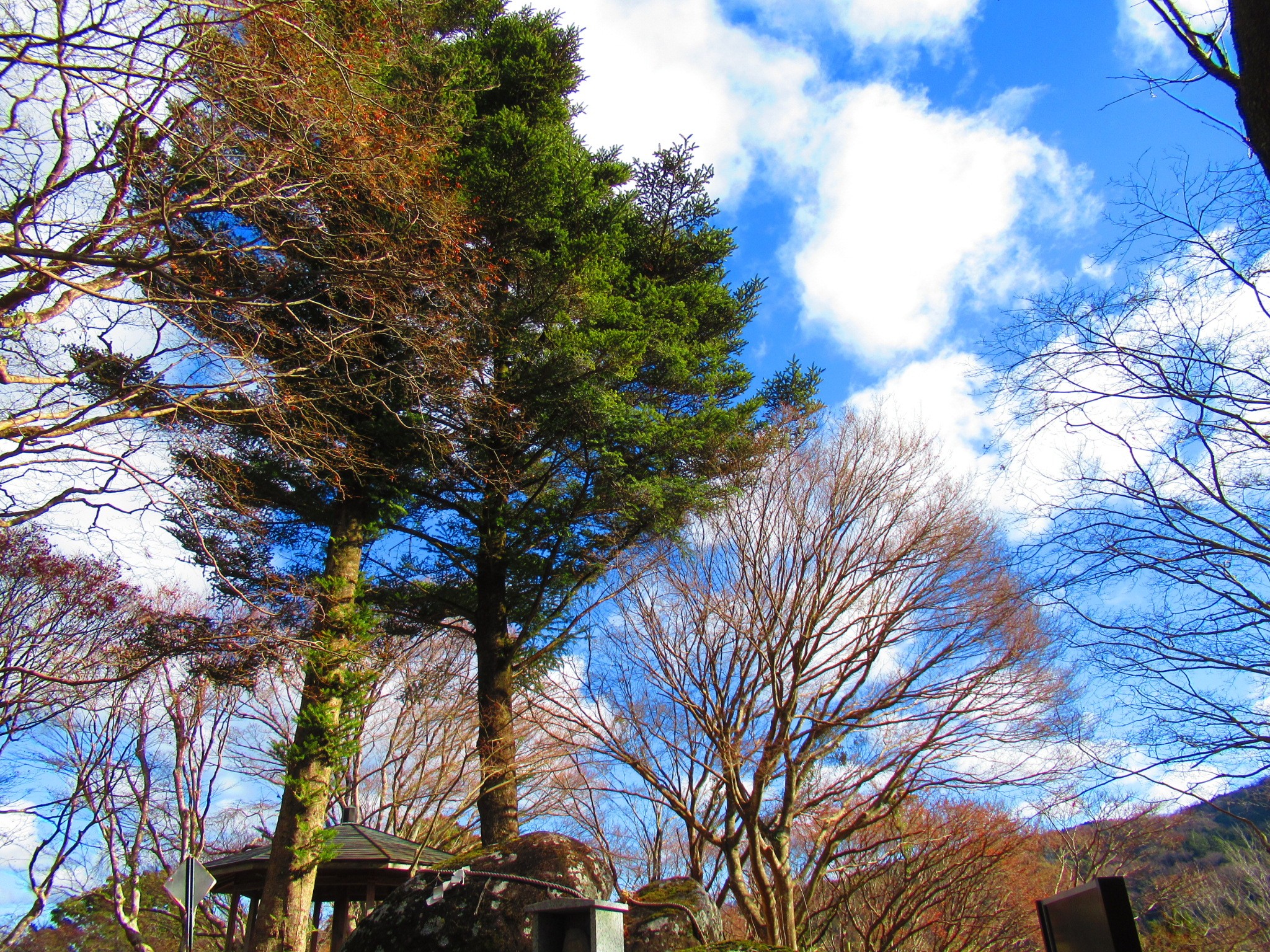 f:id:ichi-hama:20250118084643j:image f:id:ichi-hama:20250118084643j:image