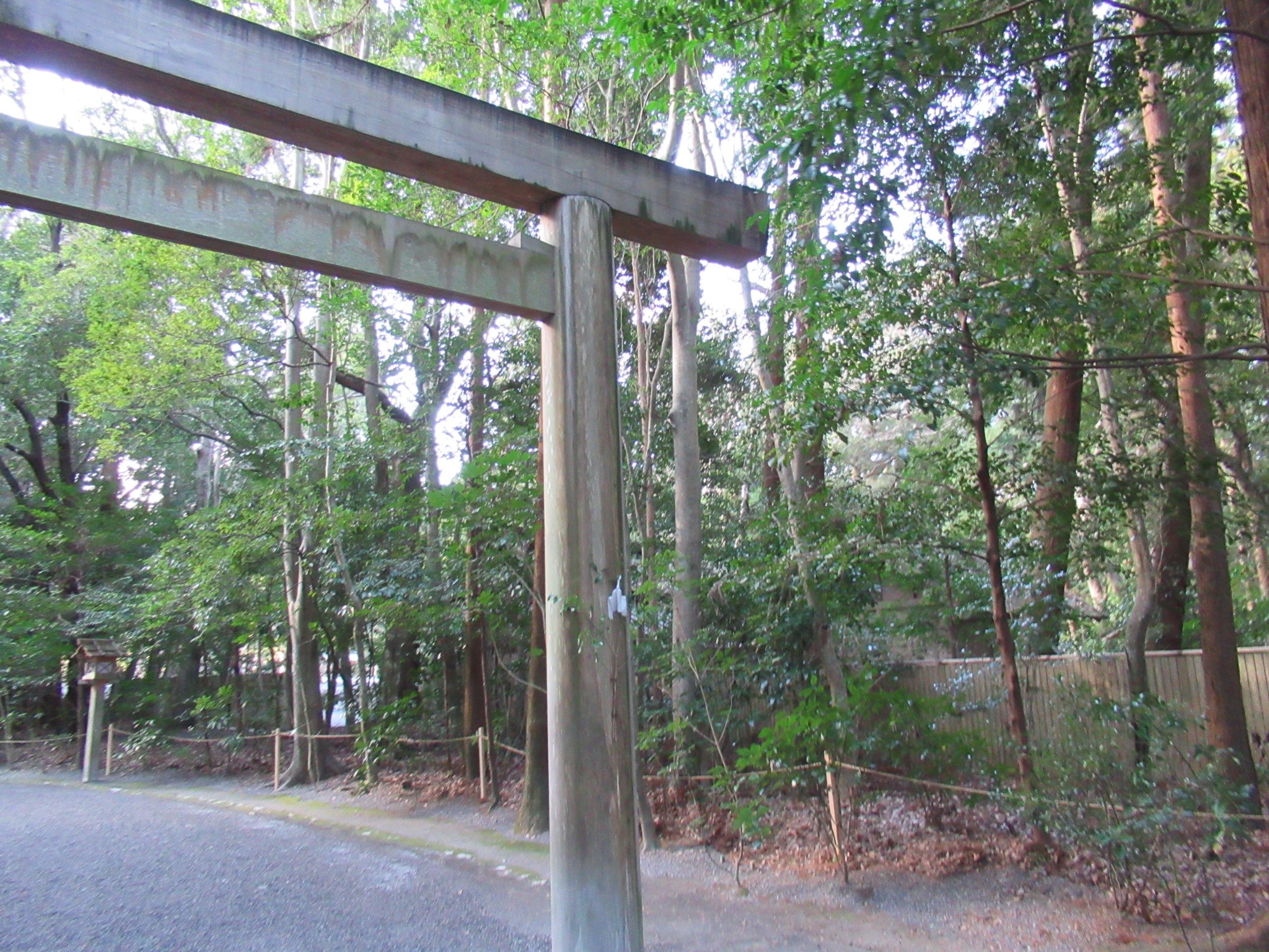 f:id:ichi-hama:20250118085447j:image f:id:ichi-hama:20250118085447j:image