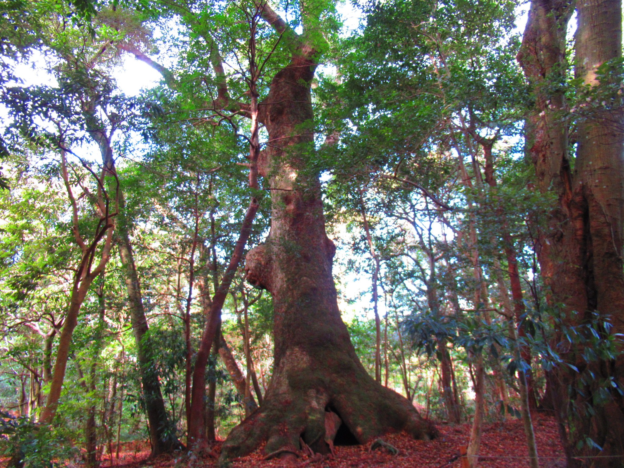 f:id:ichi-hama:20250118090108j:image f:id:ichi-hama:20250118090108j:image