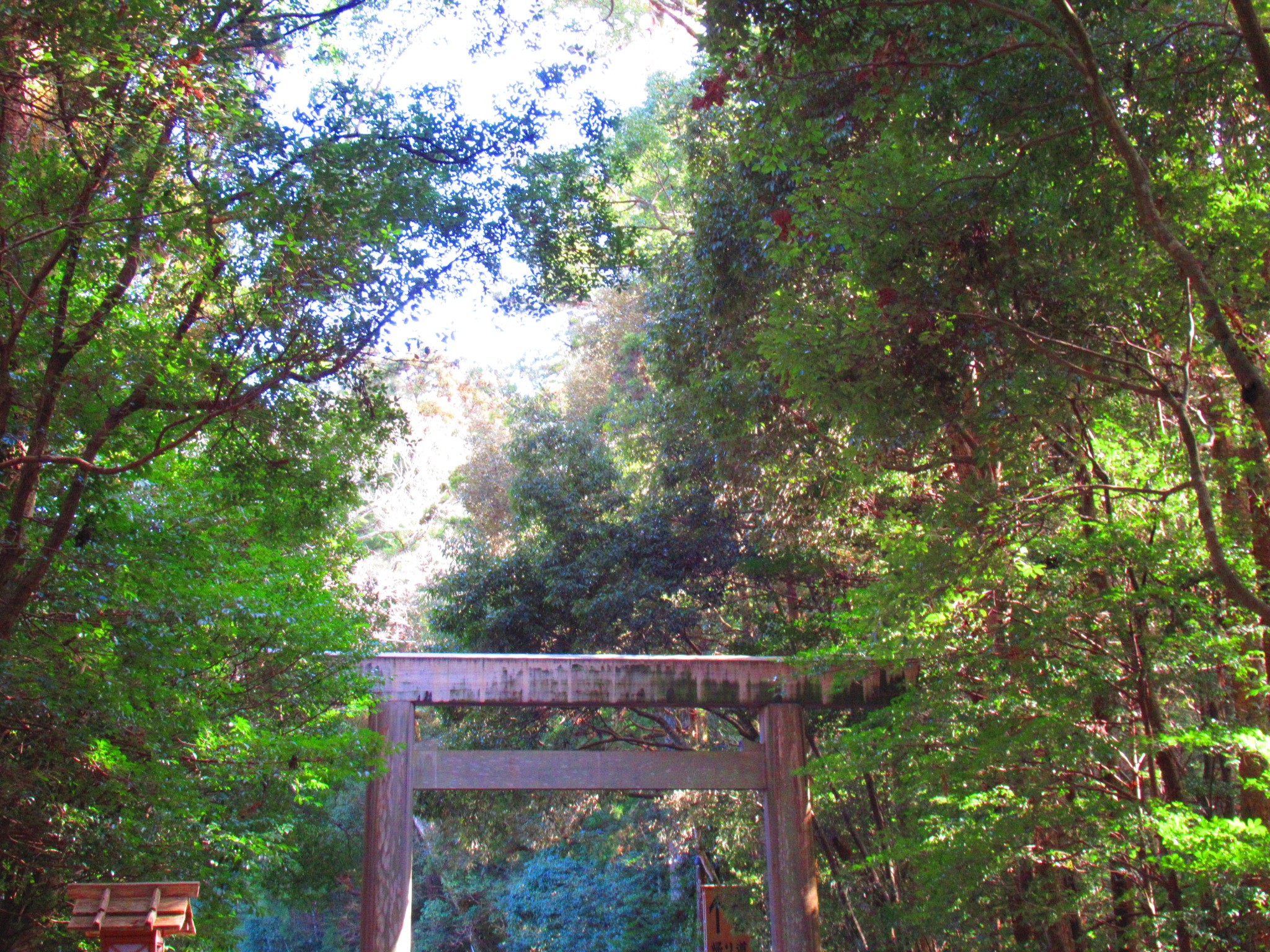 f:id:ichi-hama:20250118091754j:image f:id:ichi-hama:20250118091754j:image