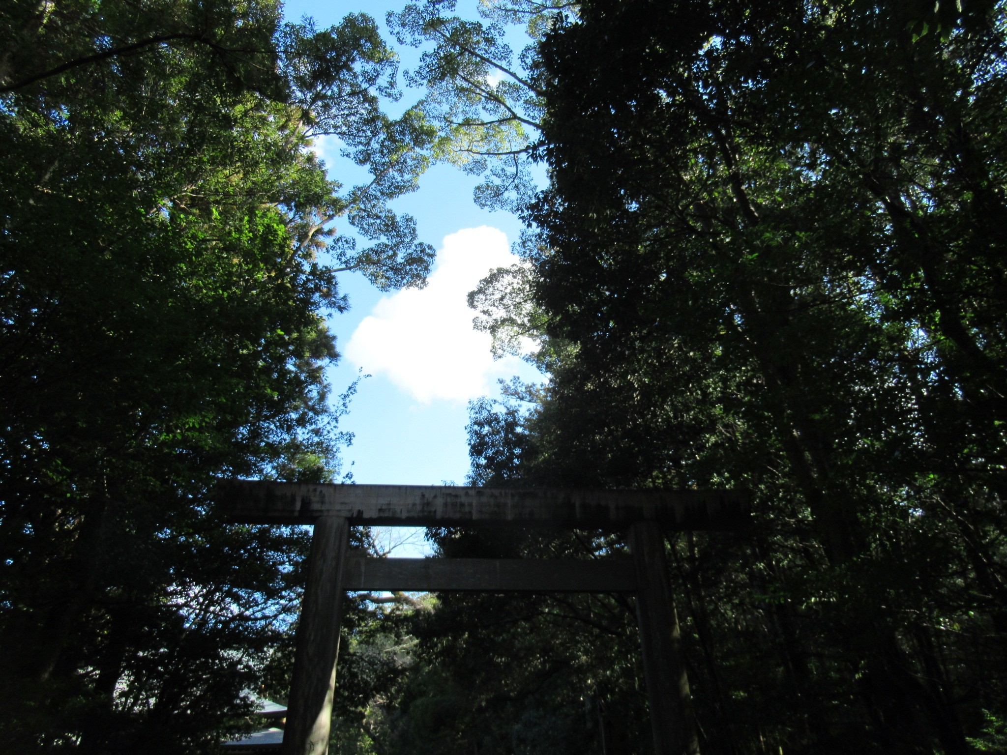 f:id:ichi-hama:20250118092737j:image f:id:ichi-hama:20250118092737j:image