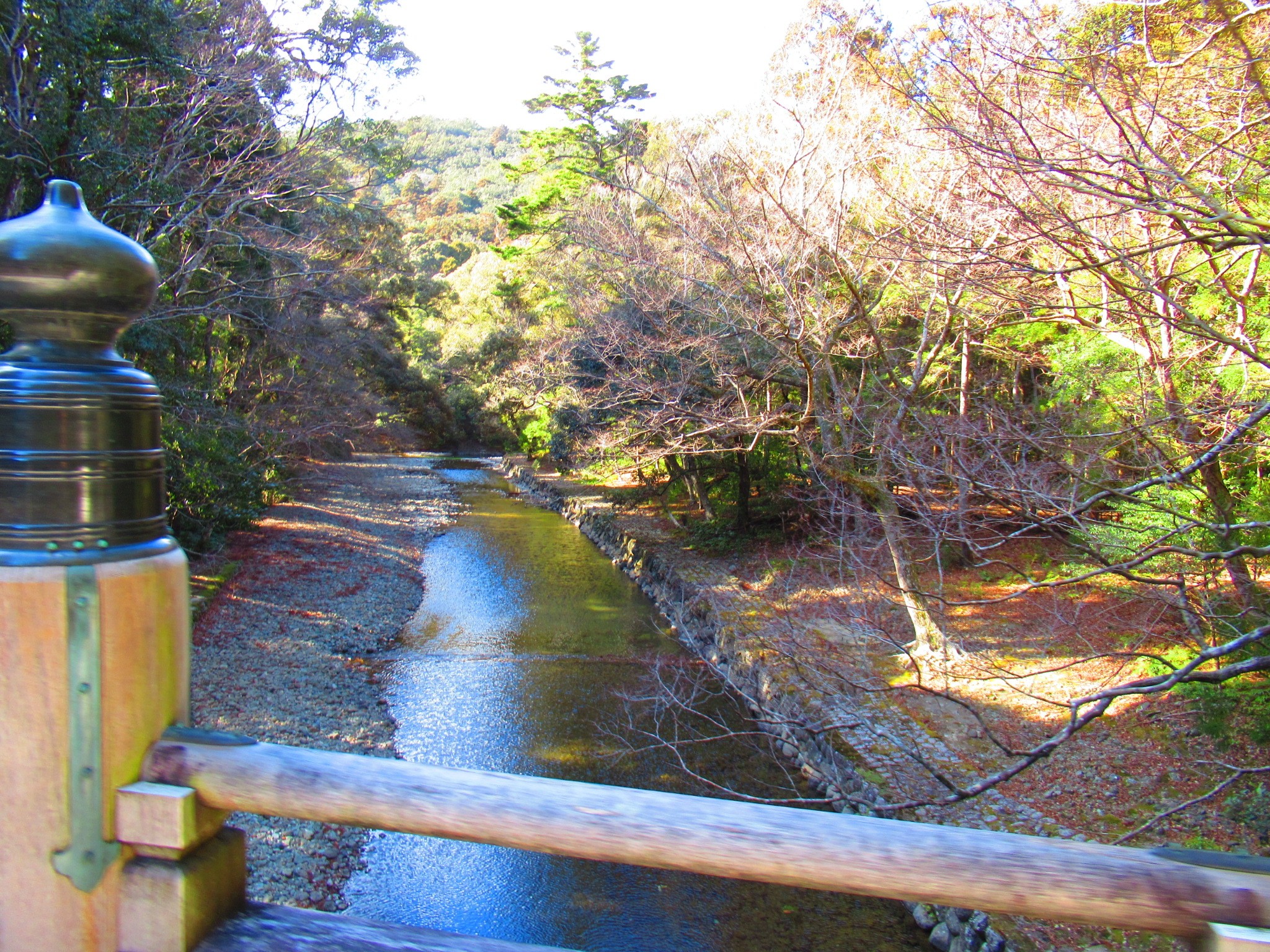 f:id:ichi-hama:20250118092858j:image f:id:ichi-hama:20250118092858j:image
