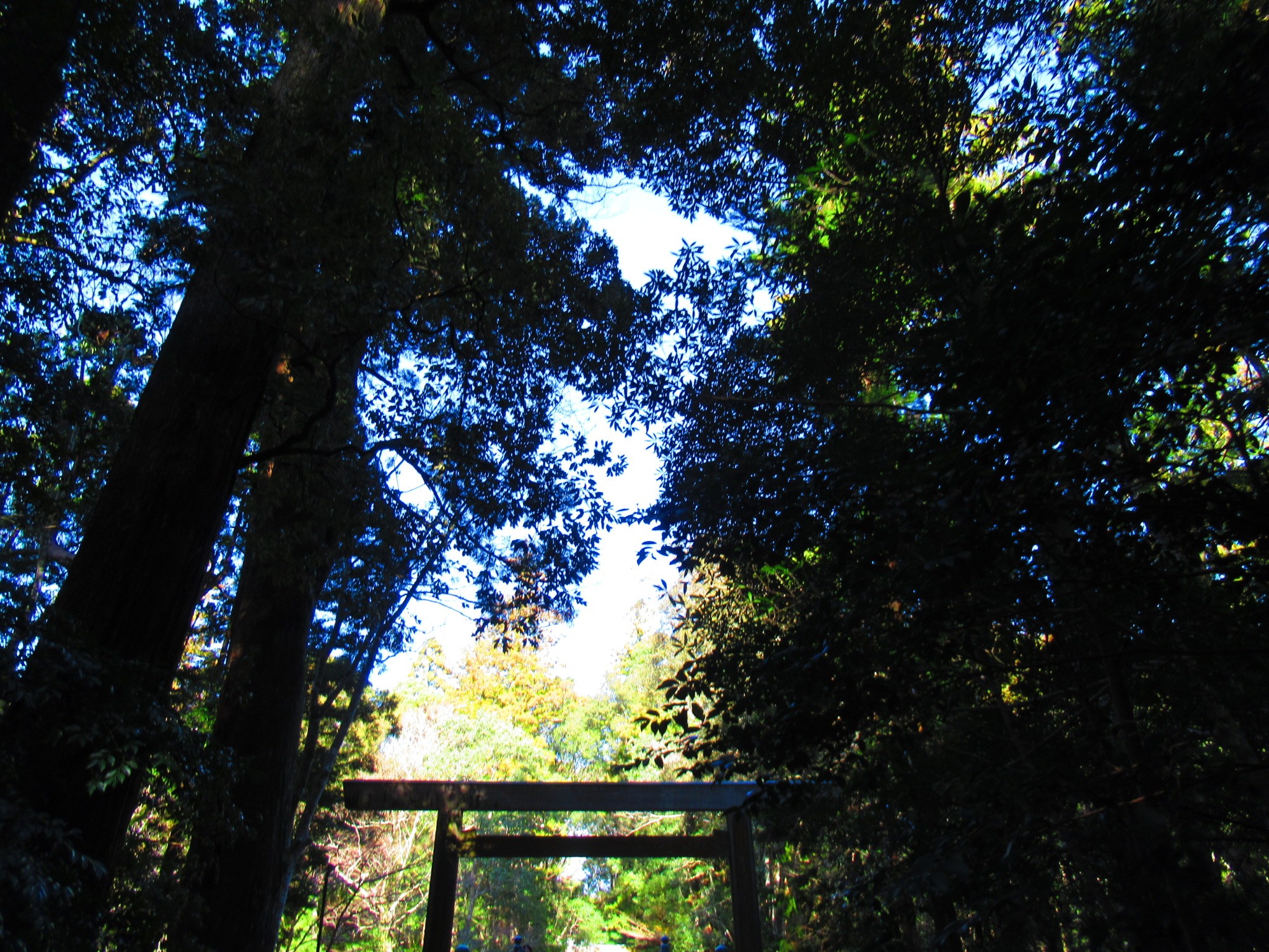 f:id:ichi-hama:20250118092942j:image f:id:ichi-hama:20250118092942j:image