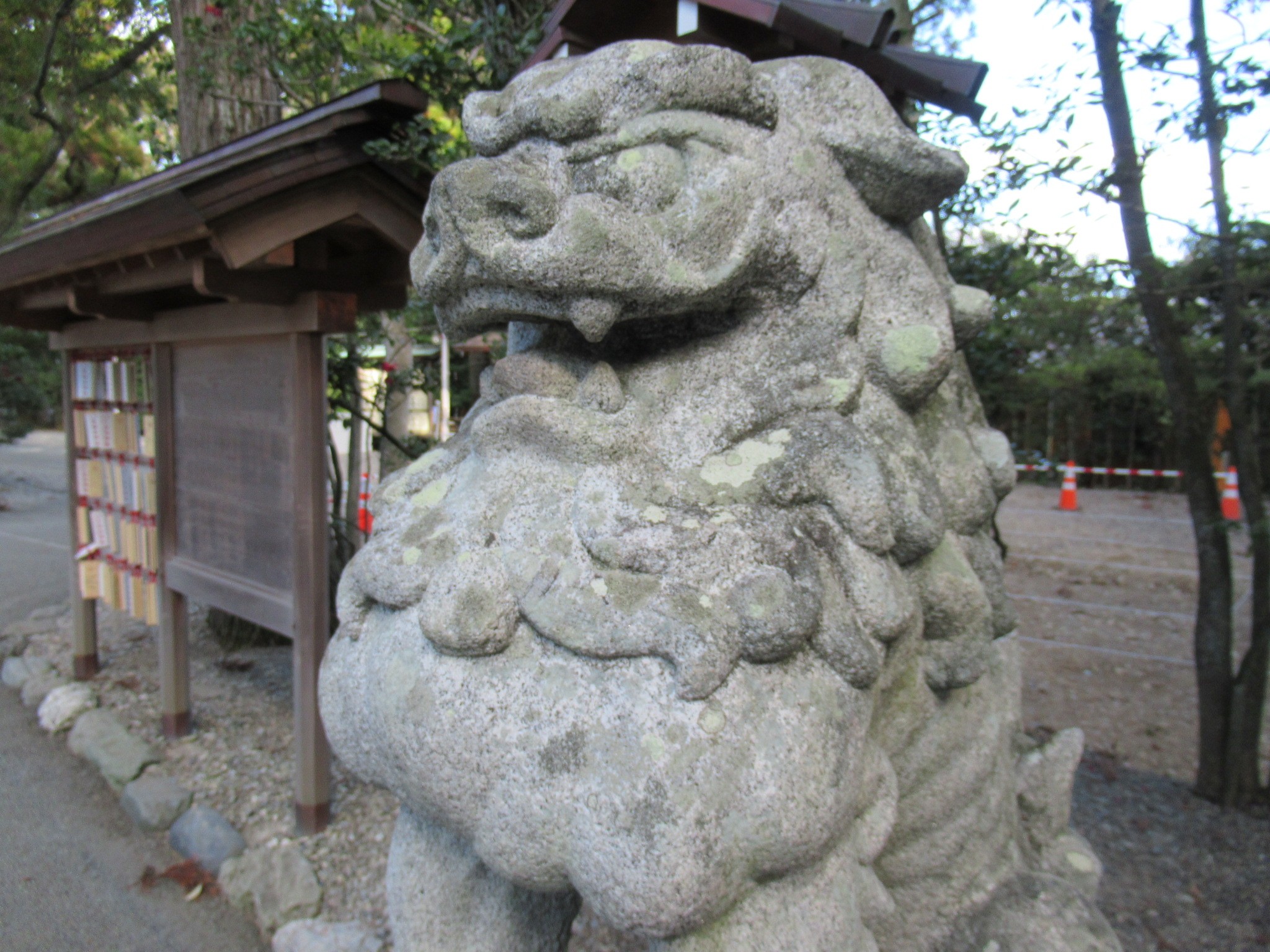 f:id:ichi-hama:20250118093152j:image f:id:ichi-hama:20250118093152j:image