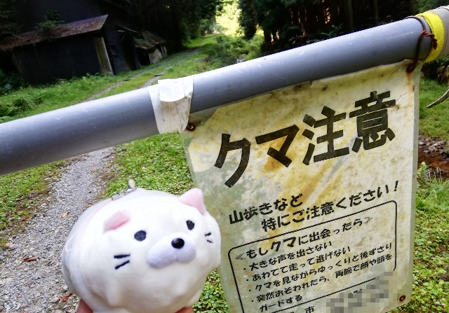 f:id:ichi025:20200816220603j:image