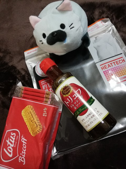 f:id:ichi025:20201025215415j:image