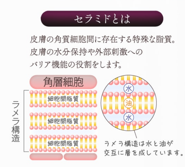 f:id:ichi1011:20181127134644p:plain f:id:ichi1011:20181127134644p:plain