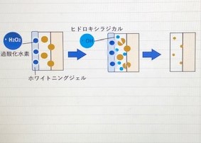 f:id:ichi19mikata:20190217200416j:plain